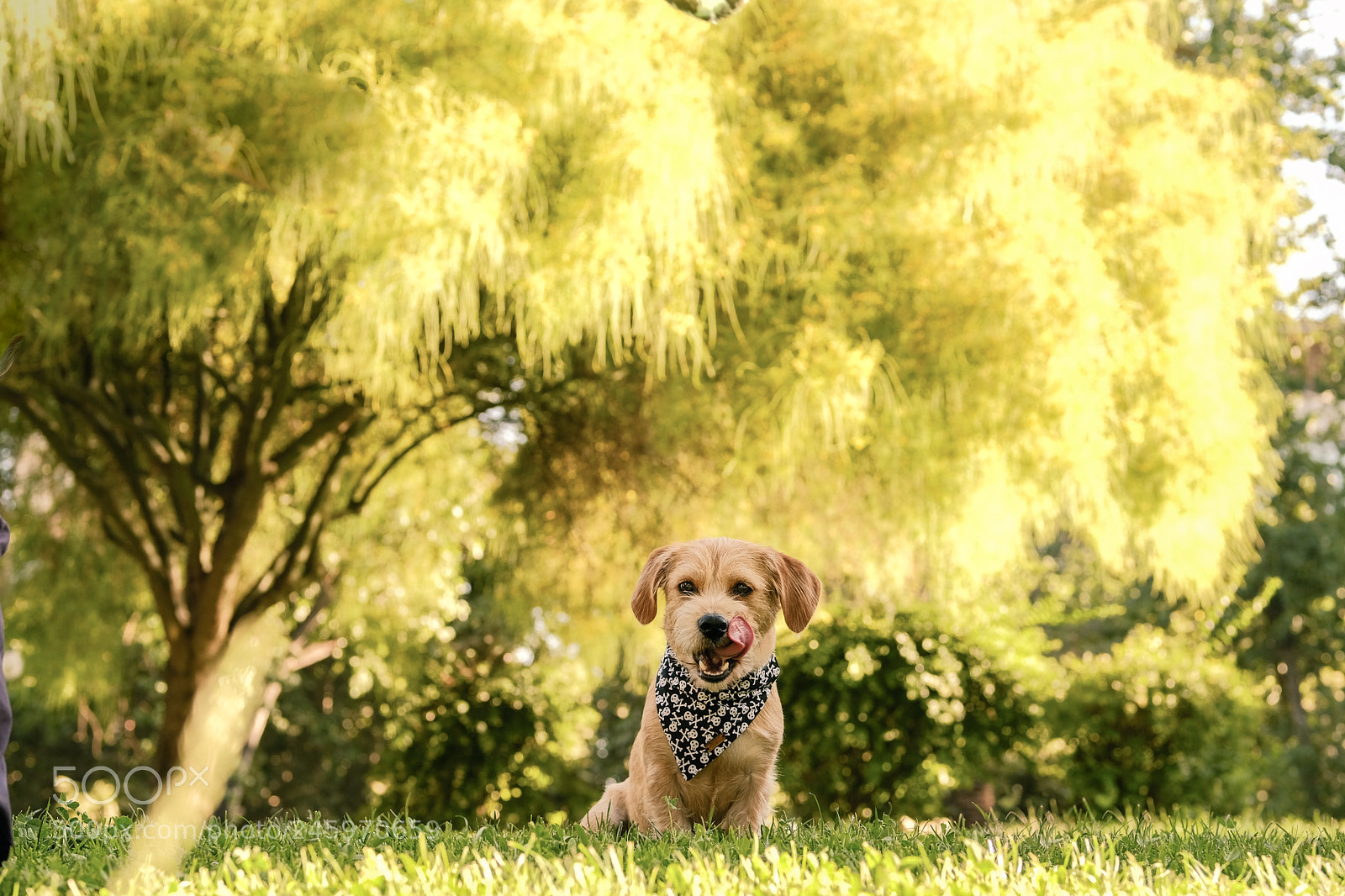 Fujifilm X-T2 sample photo. Jack photography