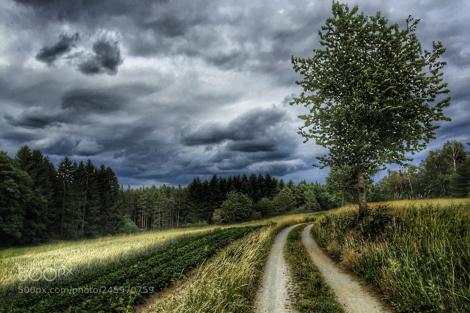 Apple iPhone 6 sample photo. Dark clouds photography