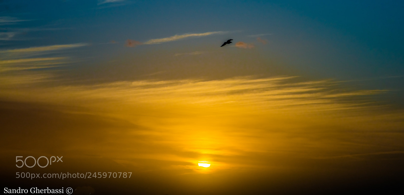 Nikon D800 sample photo. Sunset photography