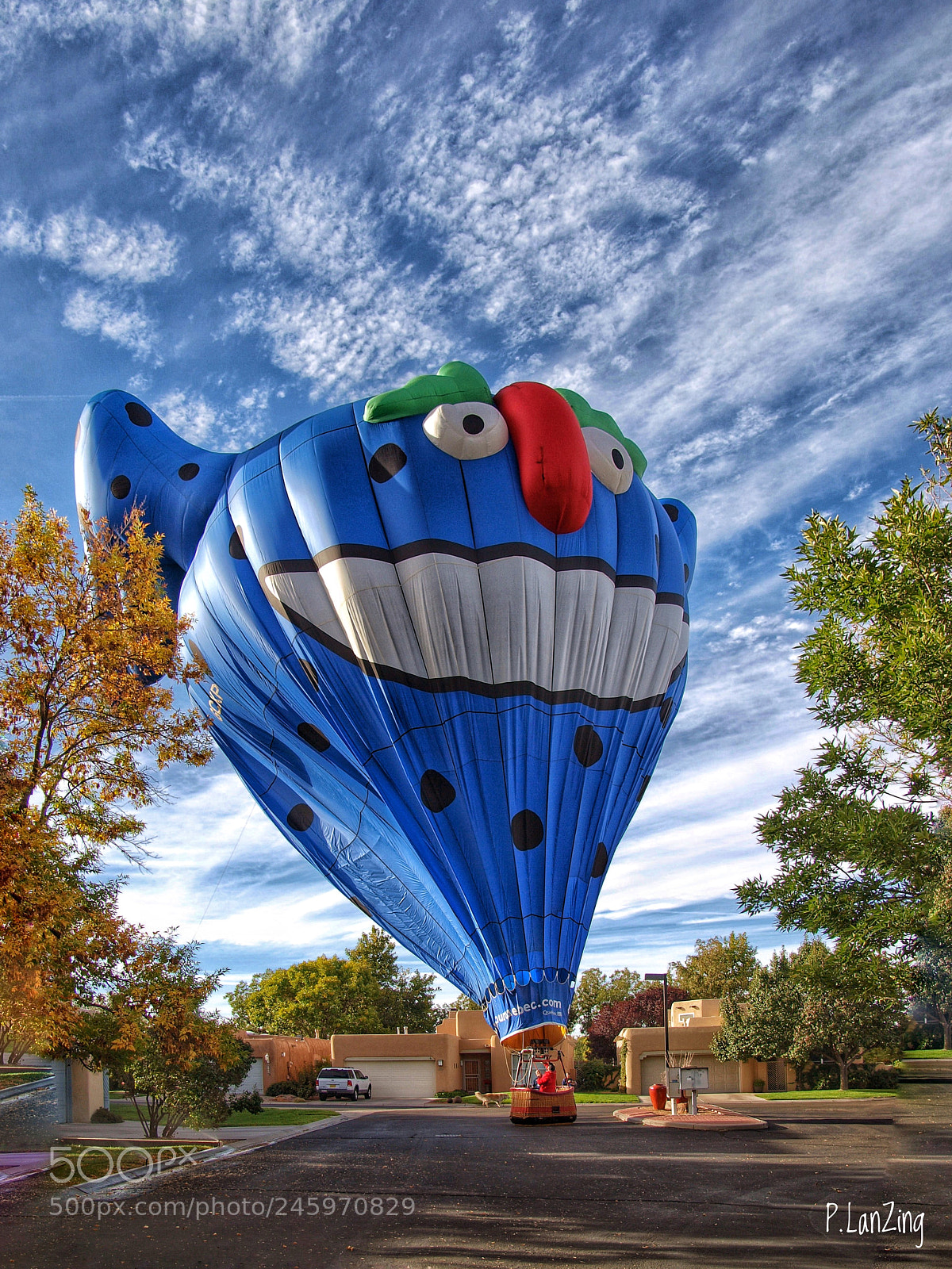 Olympus E-3 sample photo. In albuquerque, a balloon photography