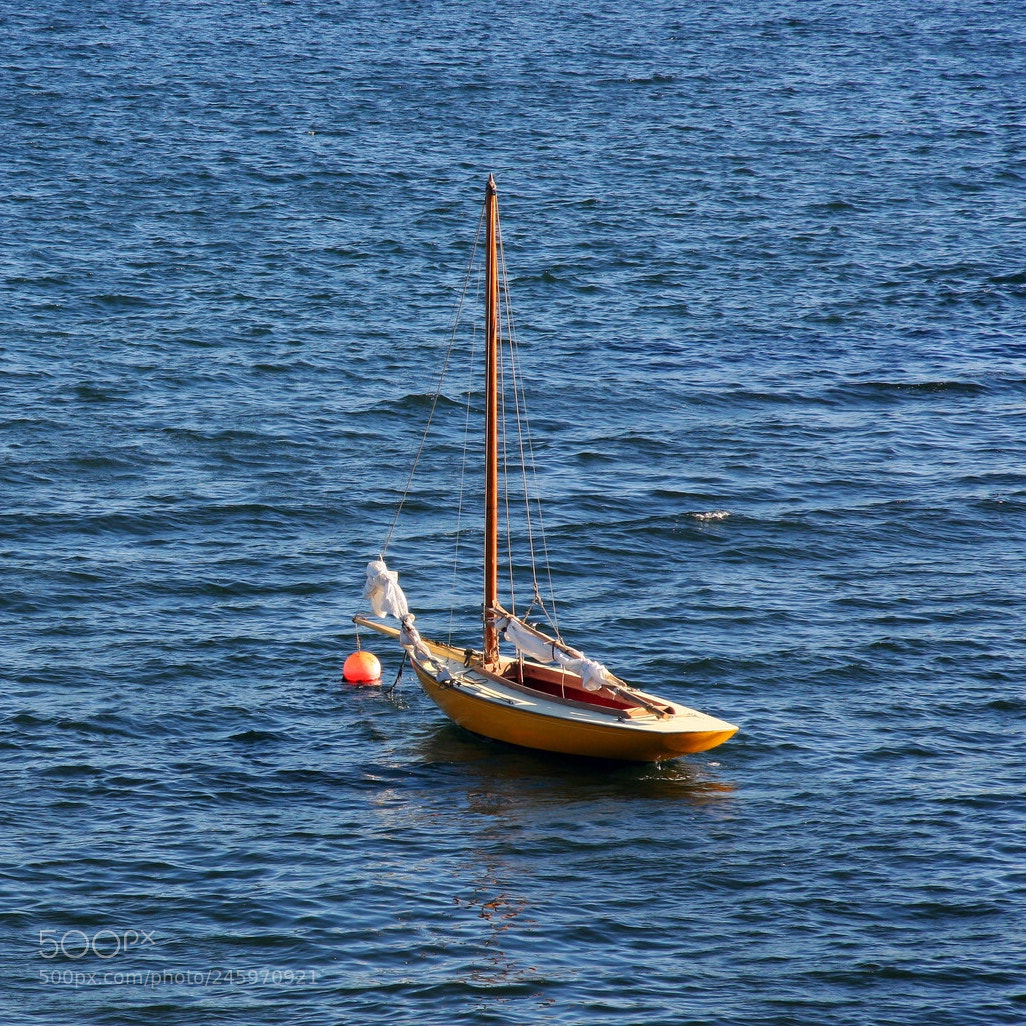 Canon EOS 40D sample photo. Peace photography