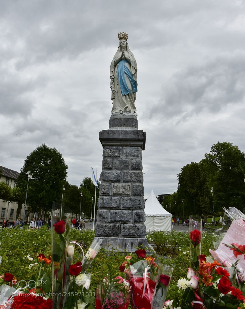 Nikon D7200 sample photo. Virgen de lourdes photography