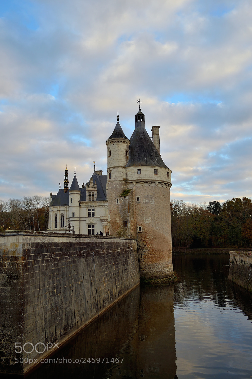 Nikon D3200 sample photo. Chenonceau photography