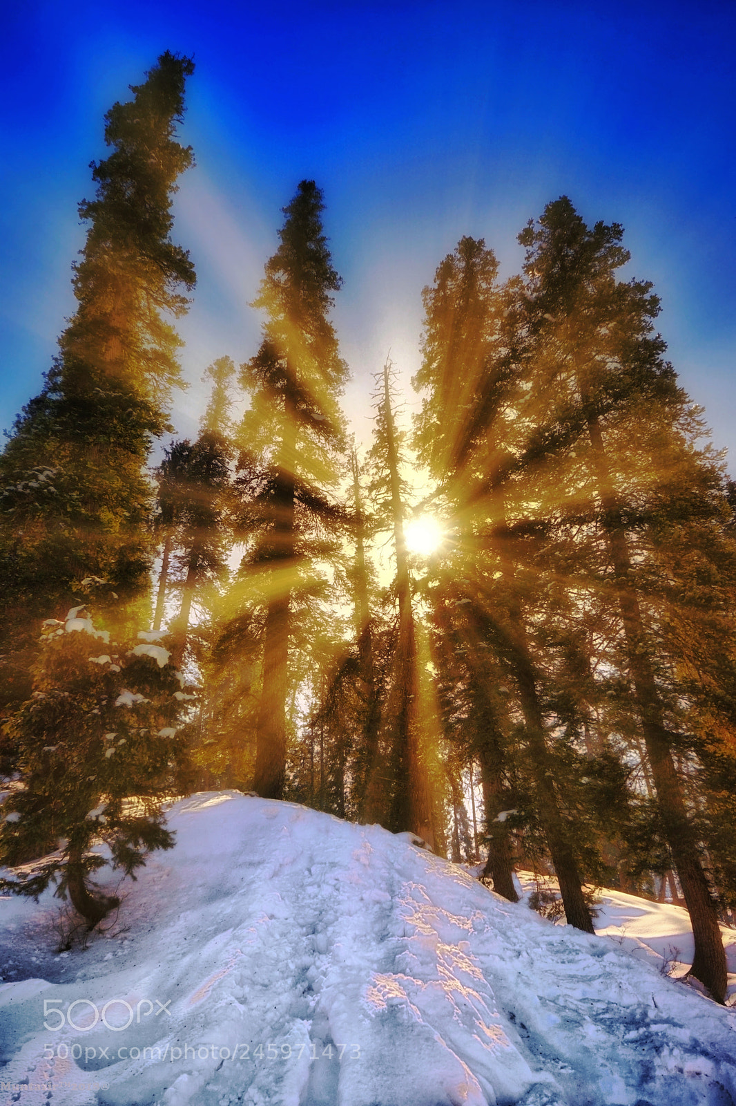 Sony a7 II sample photo. Morning rays.. photography