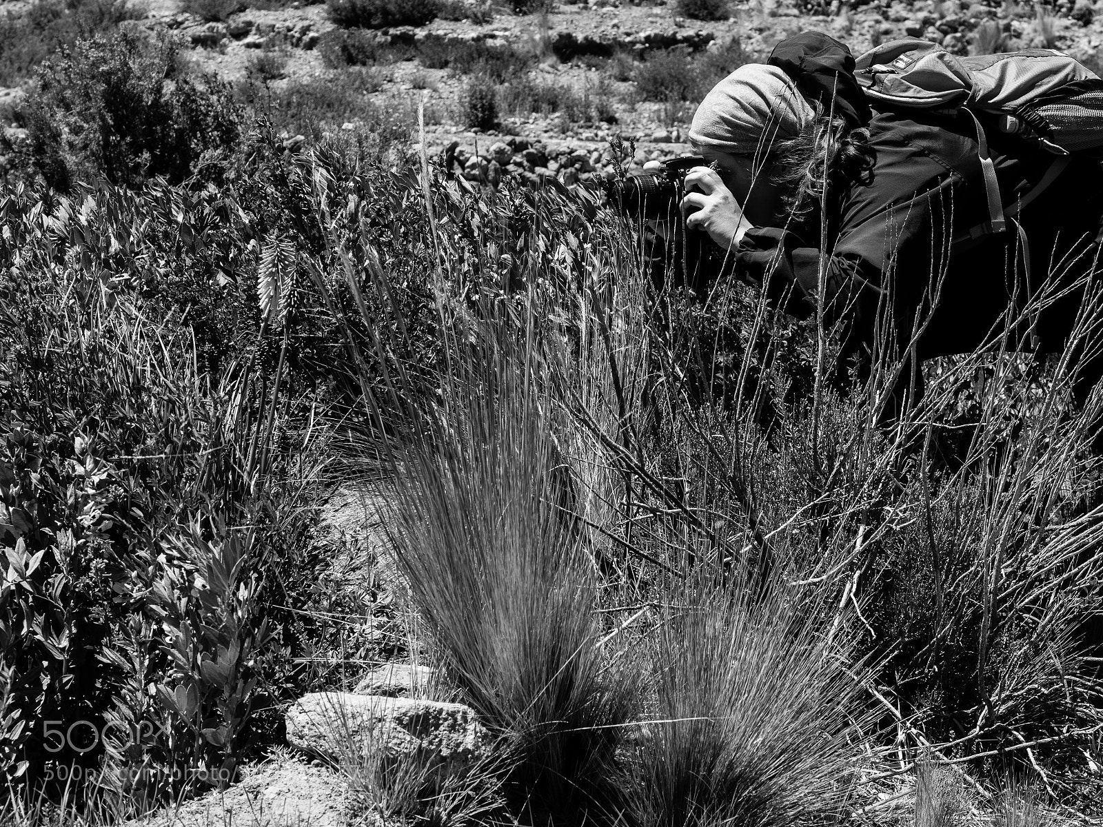 Olympus OM-D E-M1 Mark II sample photo. Photographer in the wild photography