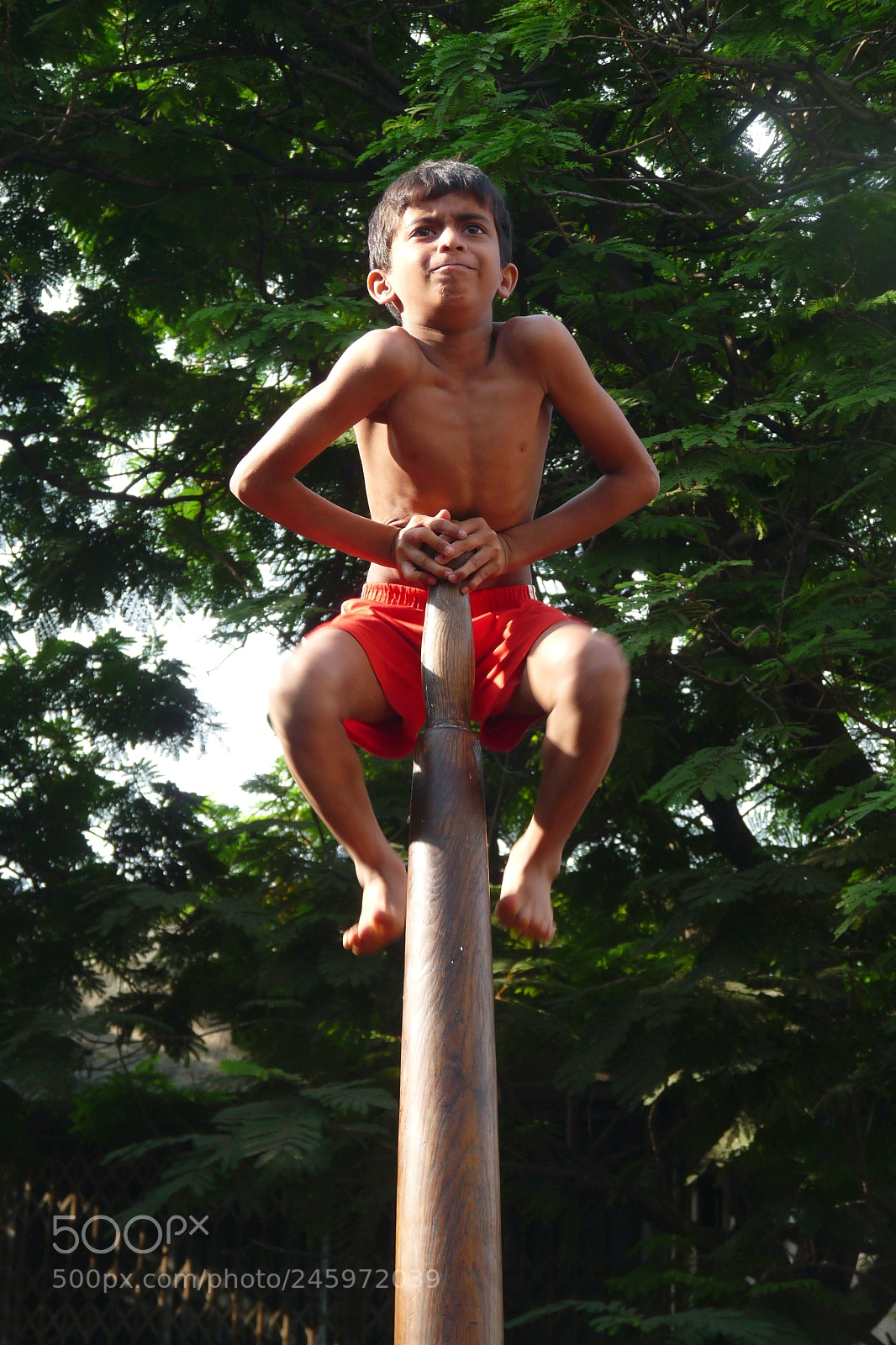 Panasonic Lumix DMC-FZ28 sample photo. Mallakhamb photography