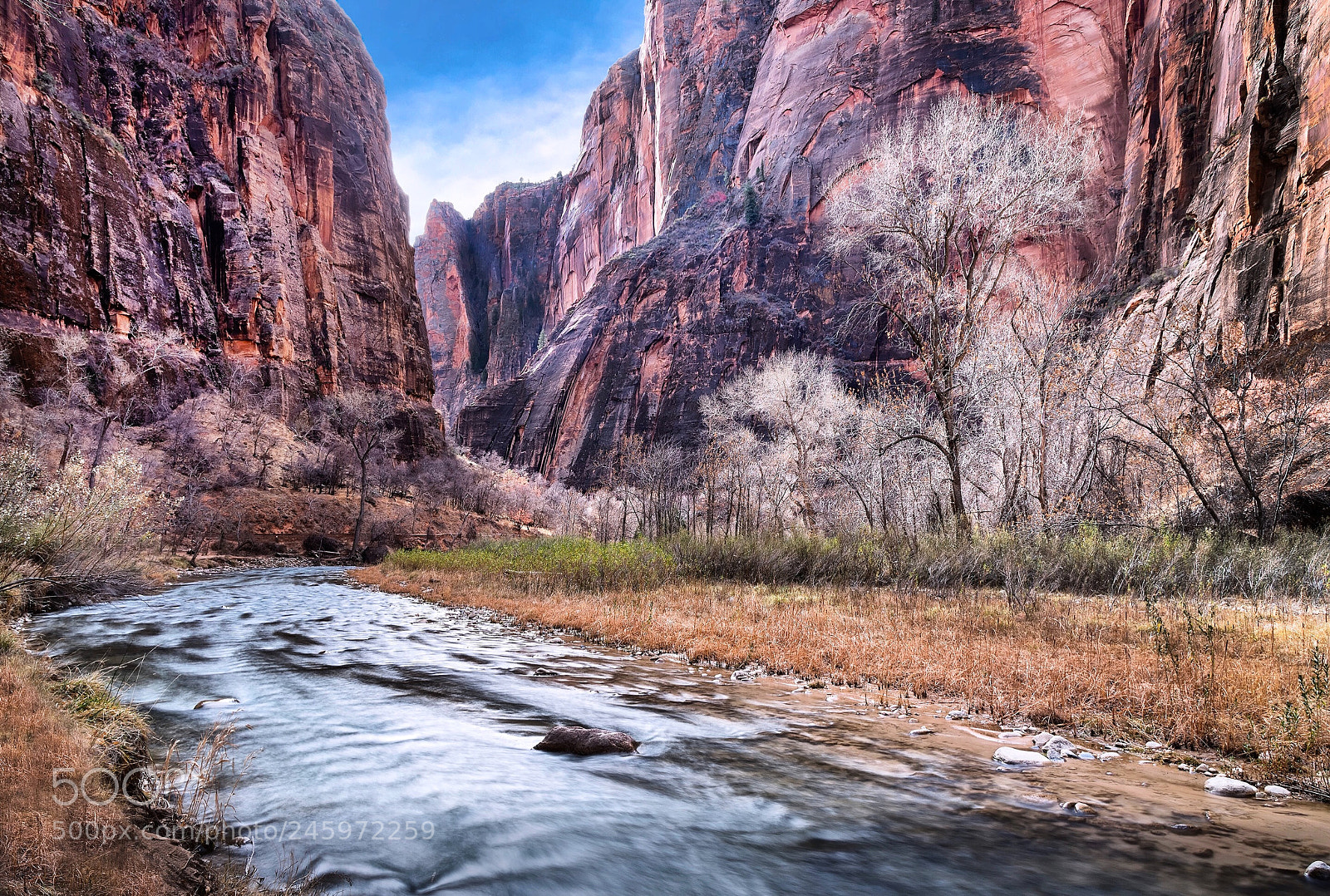 Nikon D850 sample photo. Virgin river and zion photography