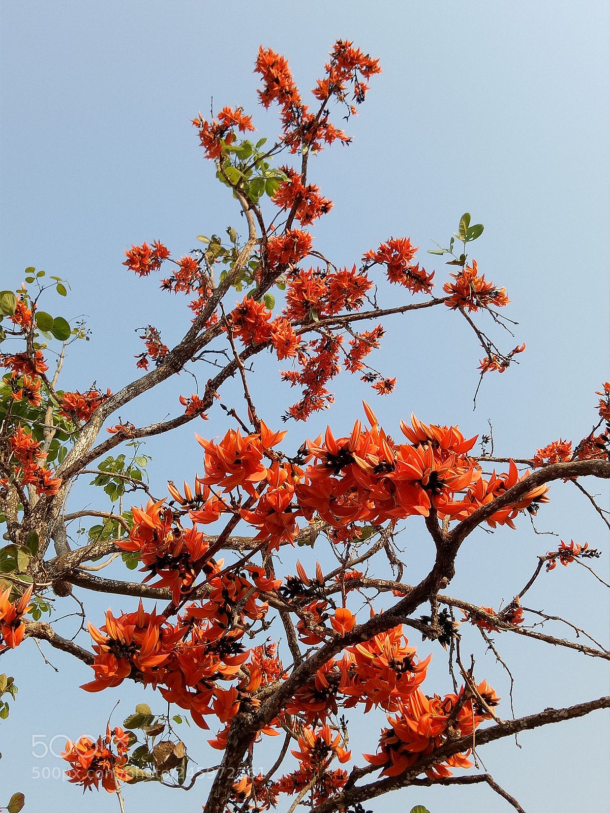 OPPO A1601 sample photo. Untitled photography