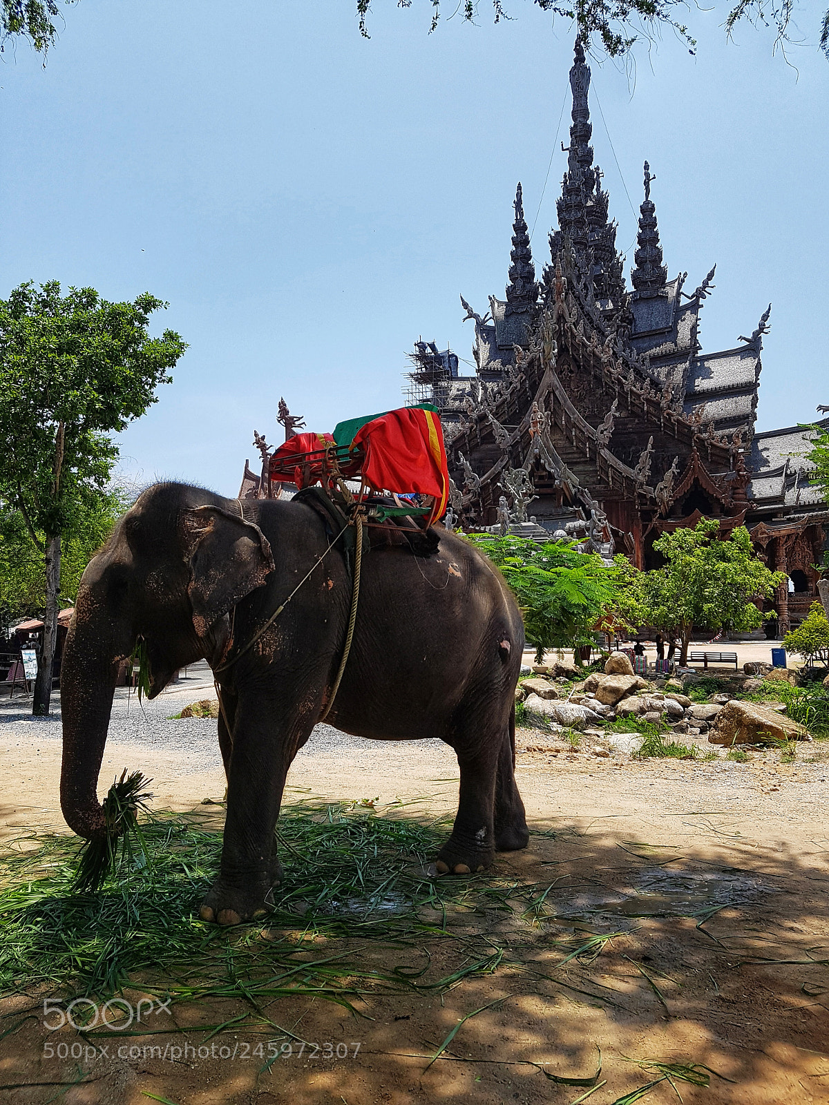 Samsung Galaxy S7 Edge sample photo. Pattaya sanctuary photography