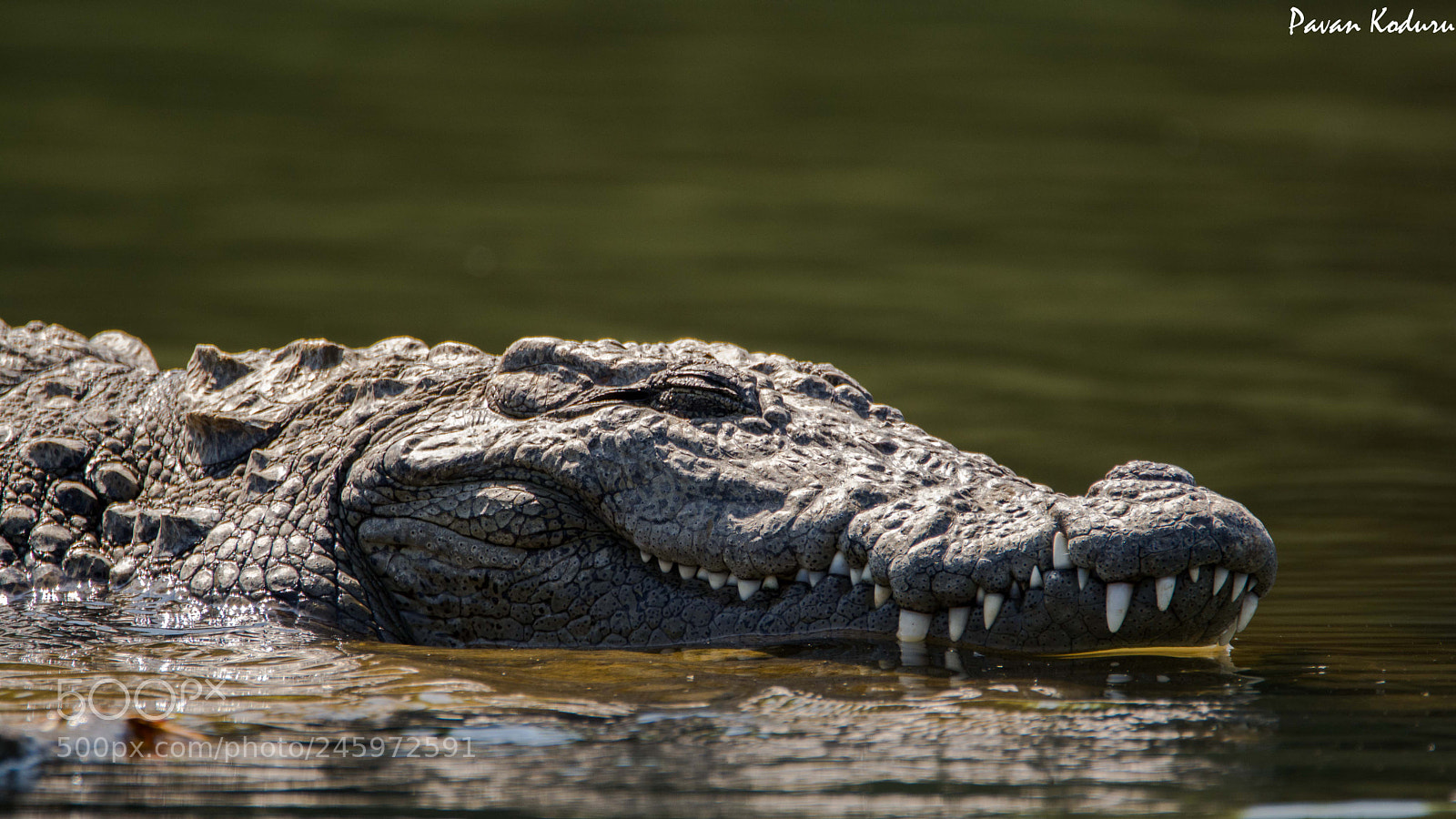 Nikon D5200 sample photo. Jaw line.... photography