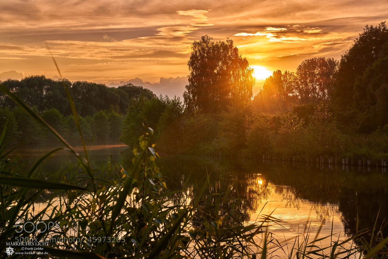 Nikon D800 sample photo. Rhinluch evening photography