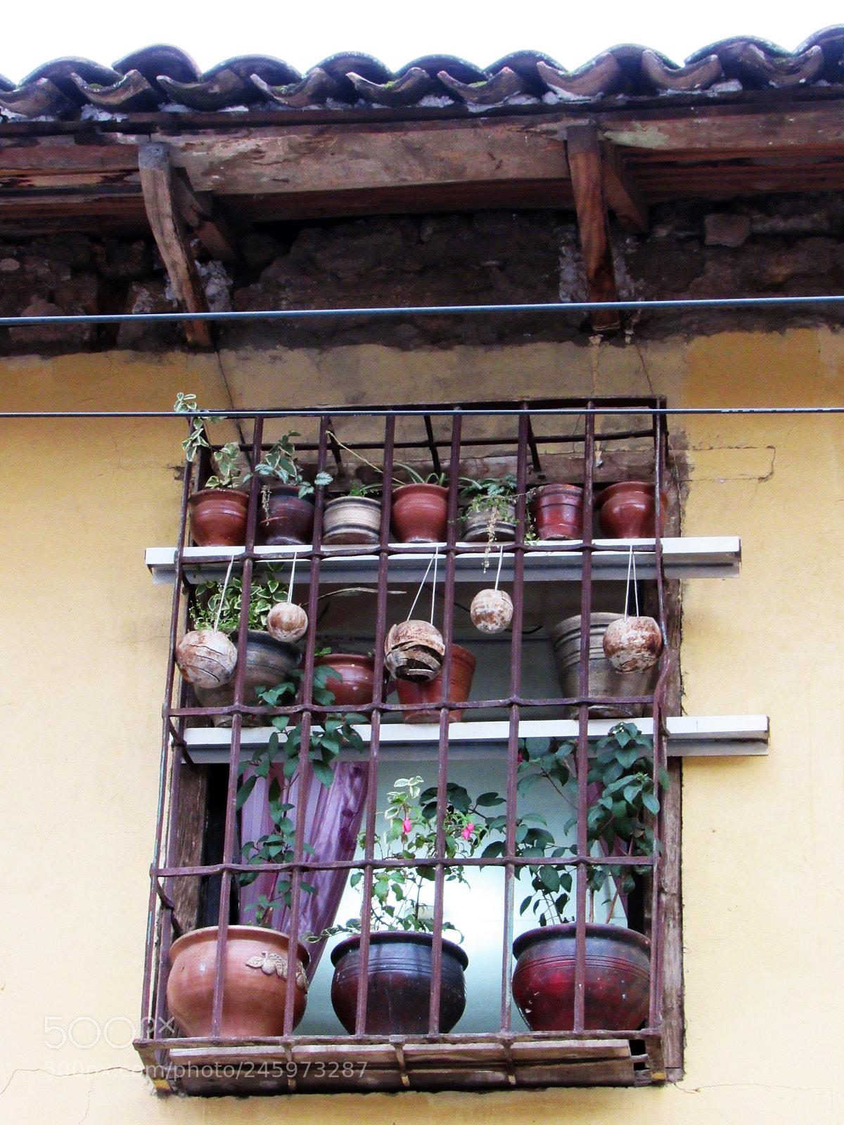 Canon PowerShot SX520 HS sample photo. Windows - 008 photography