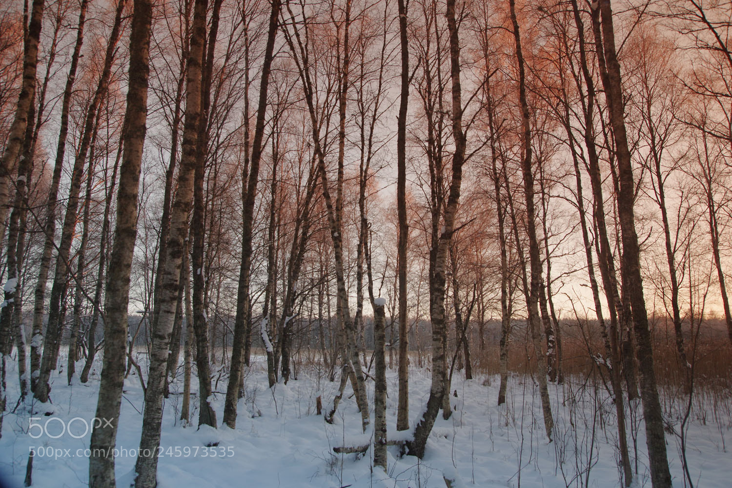 Pentax K-3 sample photo. Winter v photography