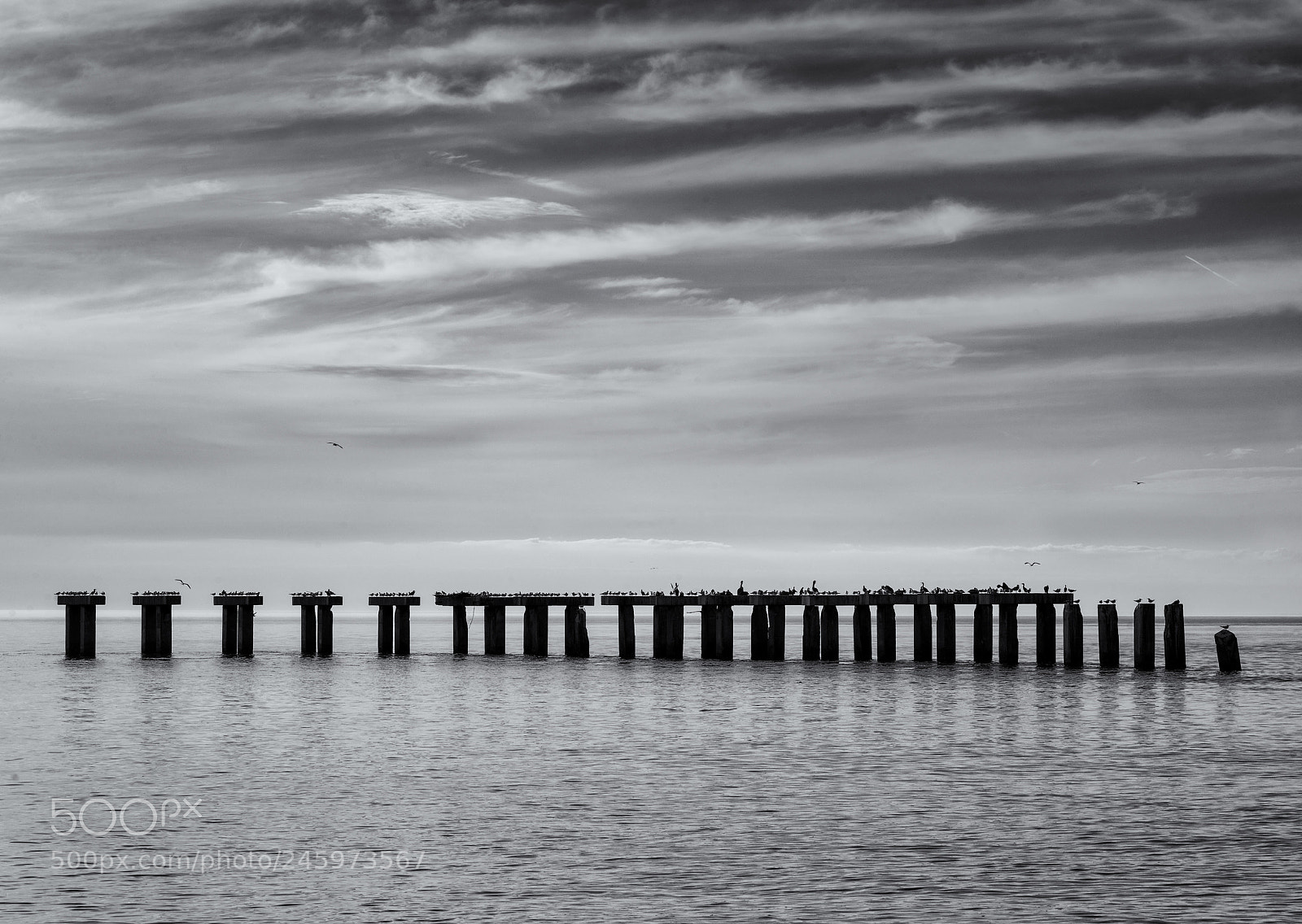 Hasselblad X1D-50c sample photo. Old pier photography