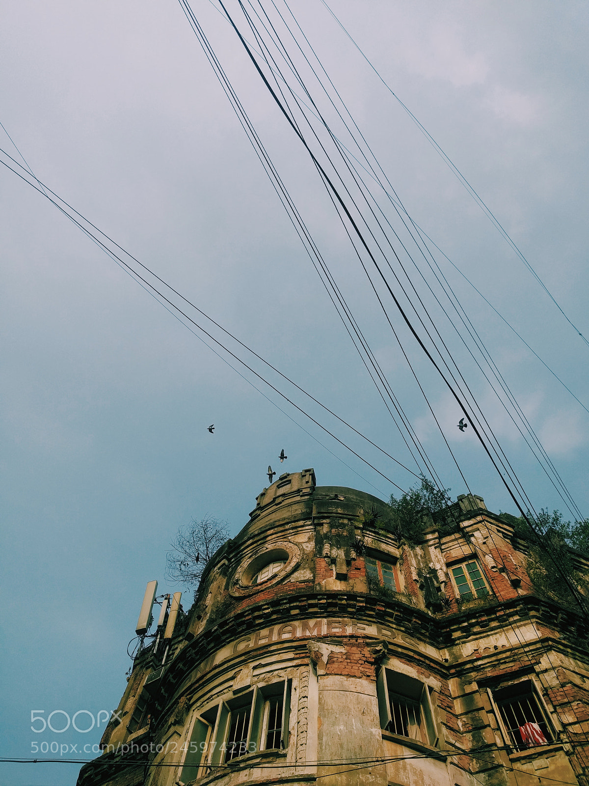 Google Nexus 6P sample photo. Beautiful kolkata photography