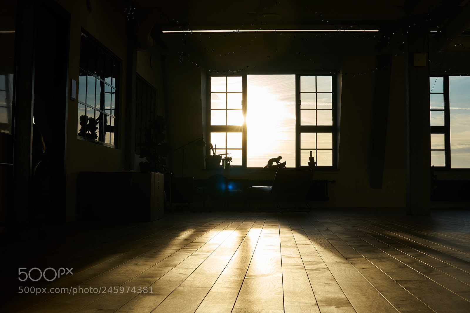 Sony a6300 sample photo. Morning at the office photography