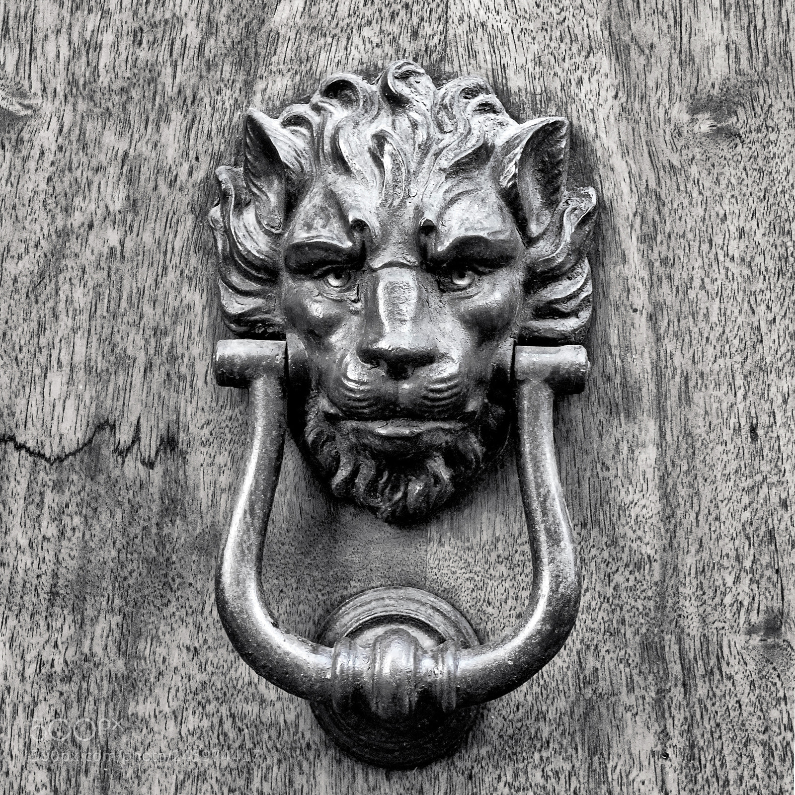 Olympus OM-D E-M10 II sample photo. Door knocker lion head photography