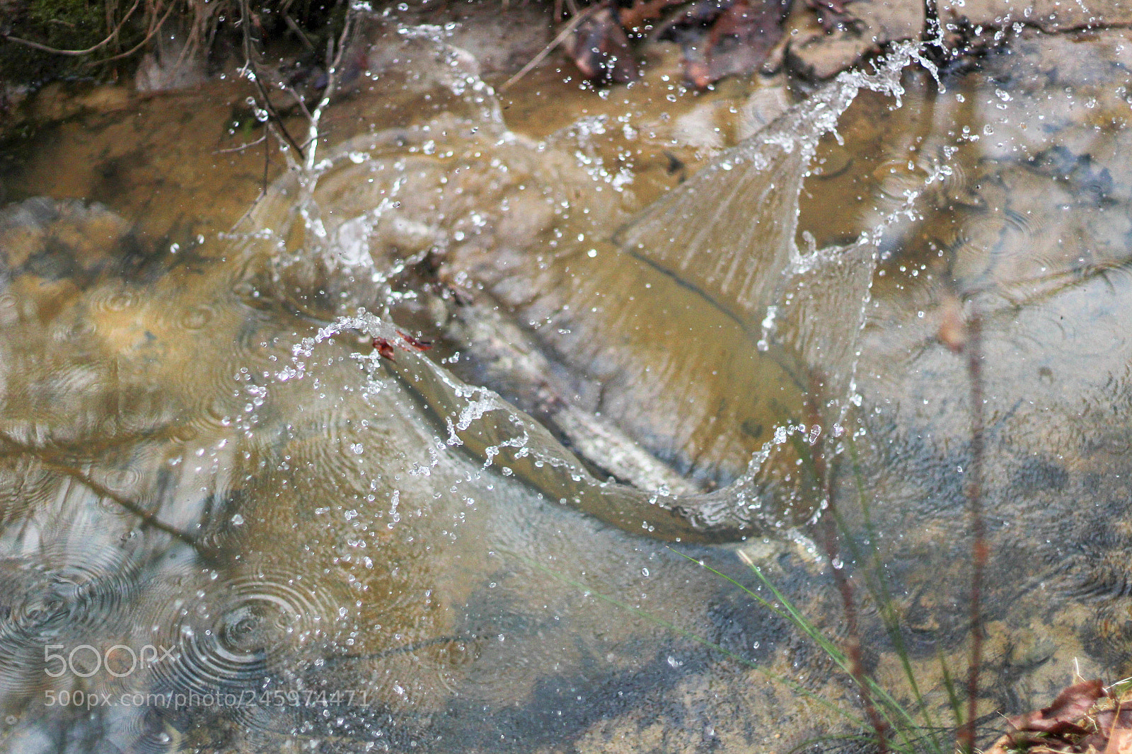 Canon EOS 100D (EOS Rebel SL1 / EOS Kiss X7) sample photo. Water photo photography