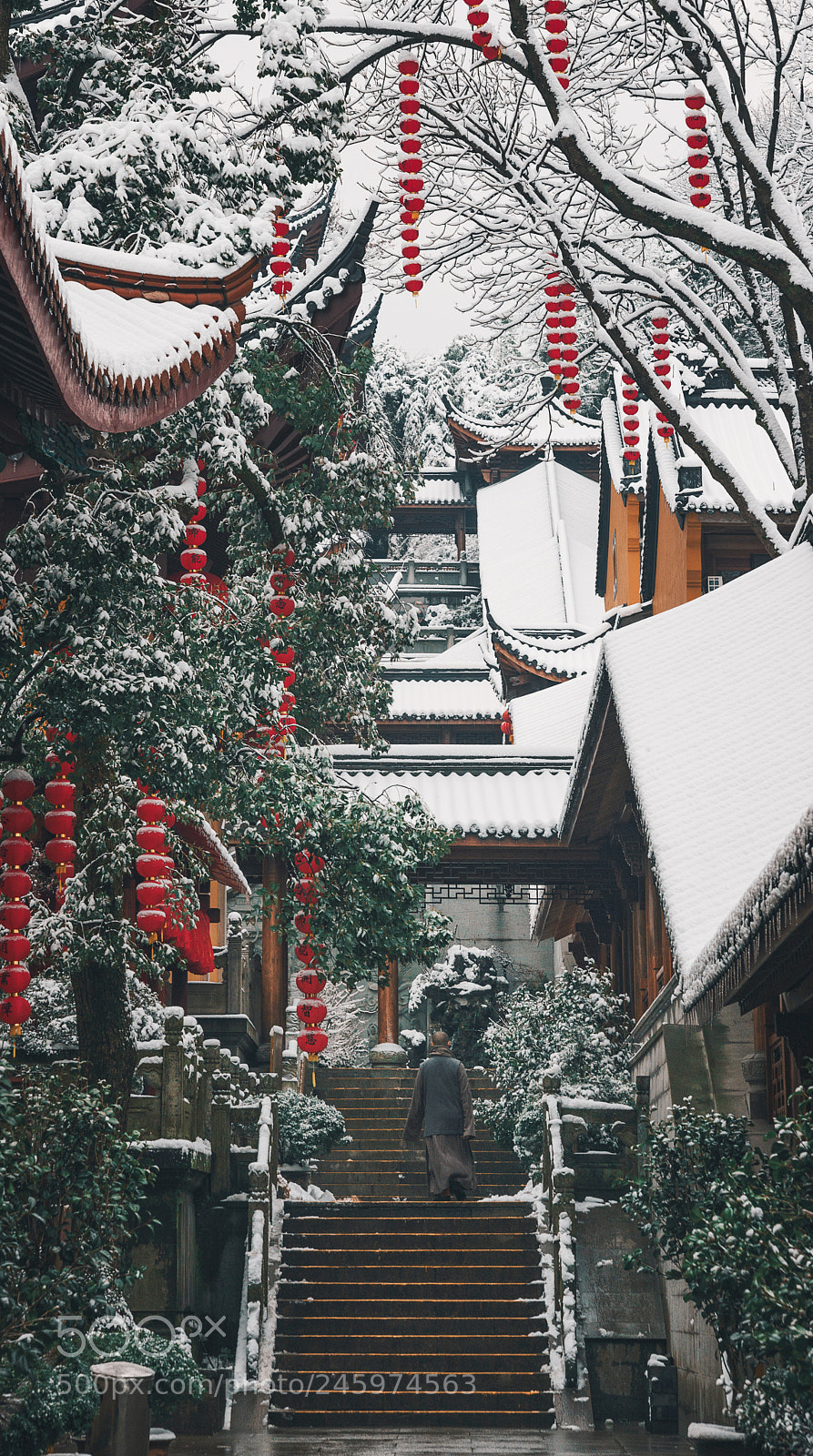 Sony a7R III sample photo. 杳杳寒山道 落落冷涧滨 photography
