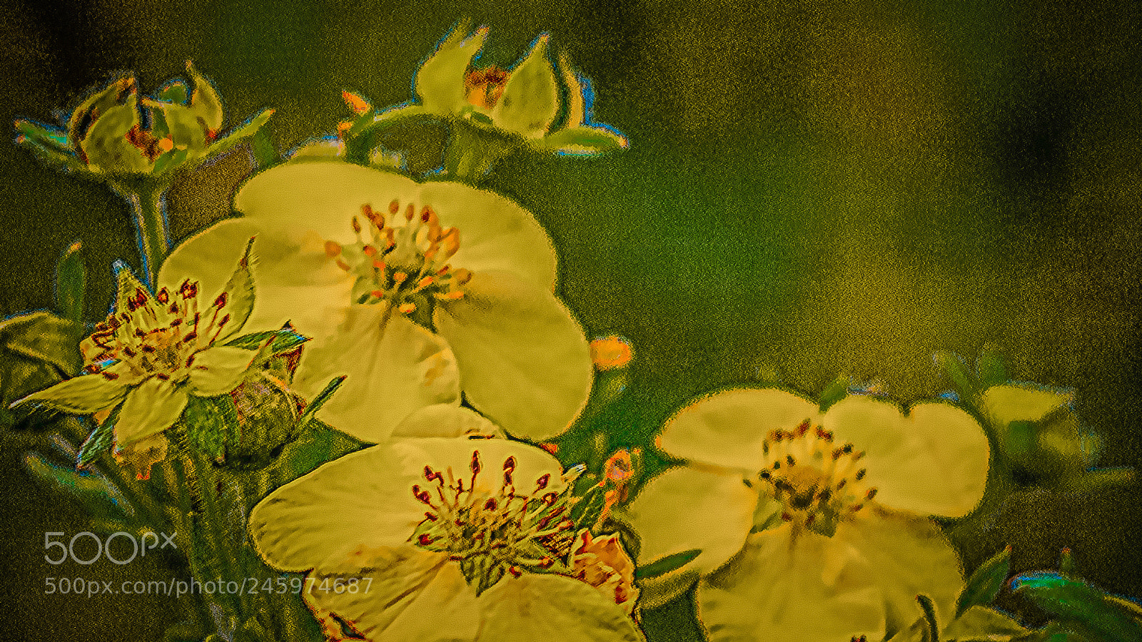 Nikon D3400 sample photo. Yellow flocks photography