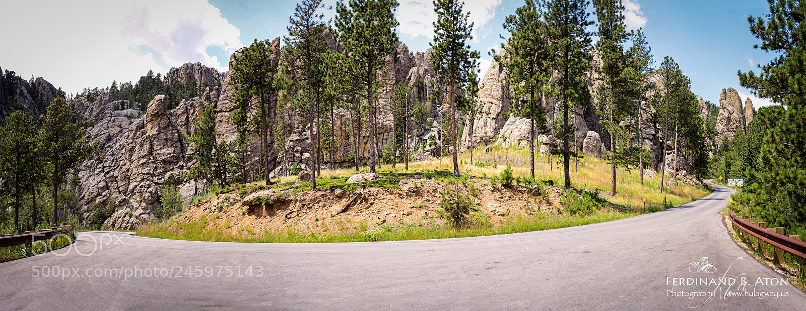 Nikon D800 sample photo. Needles highway photography