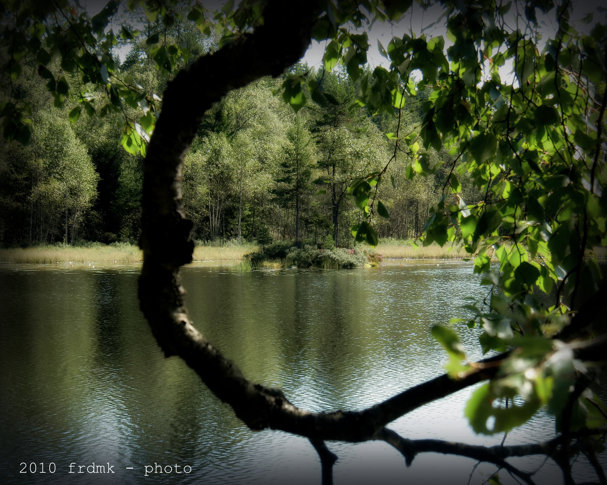 CASIO EX-H10 sample photo. Memories of a summer day photography
