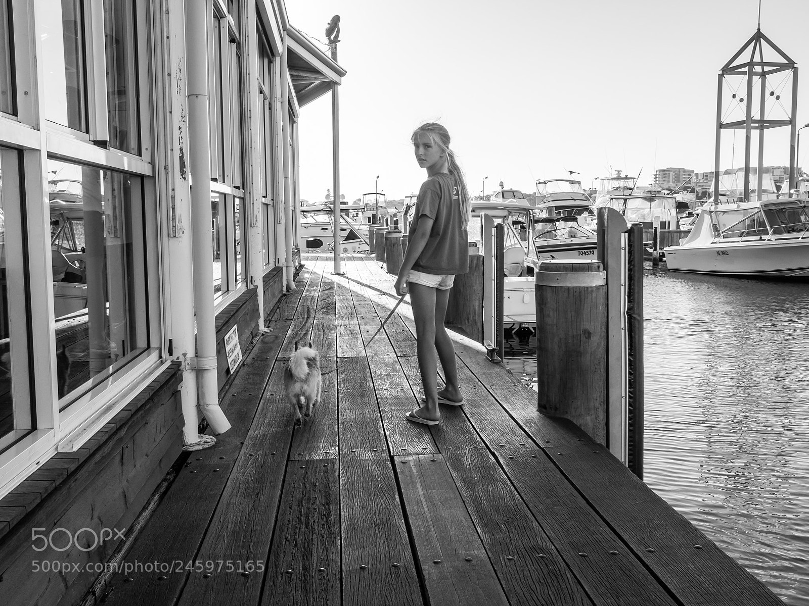 Olympus OM-D E-M10 sample photo. Girl walking dog.jpg photography