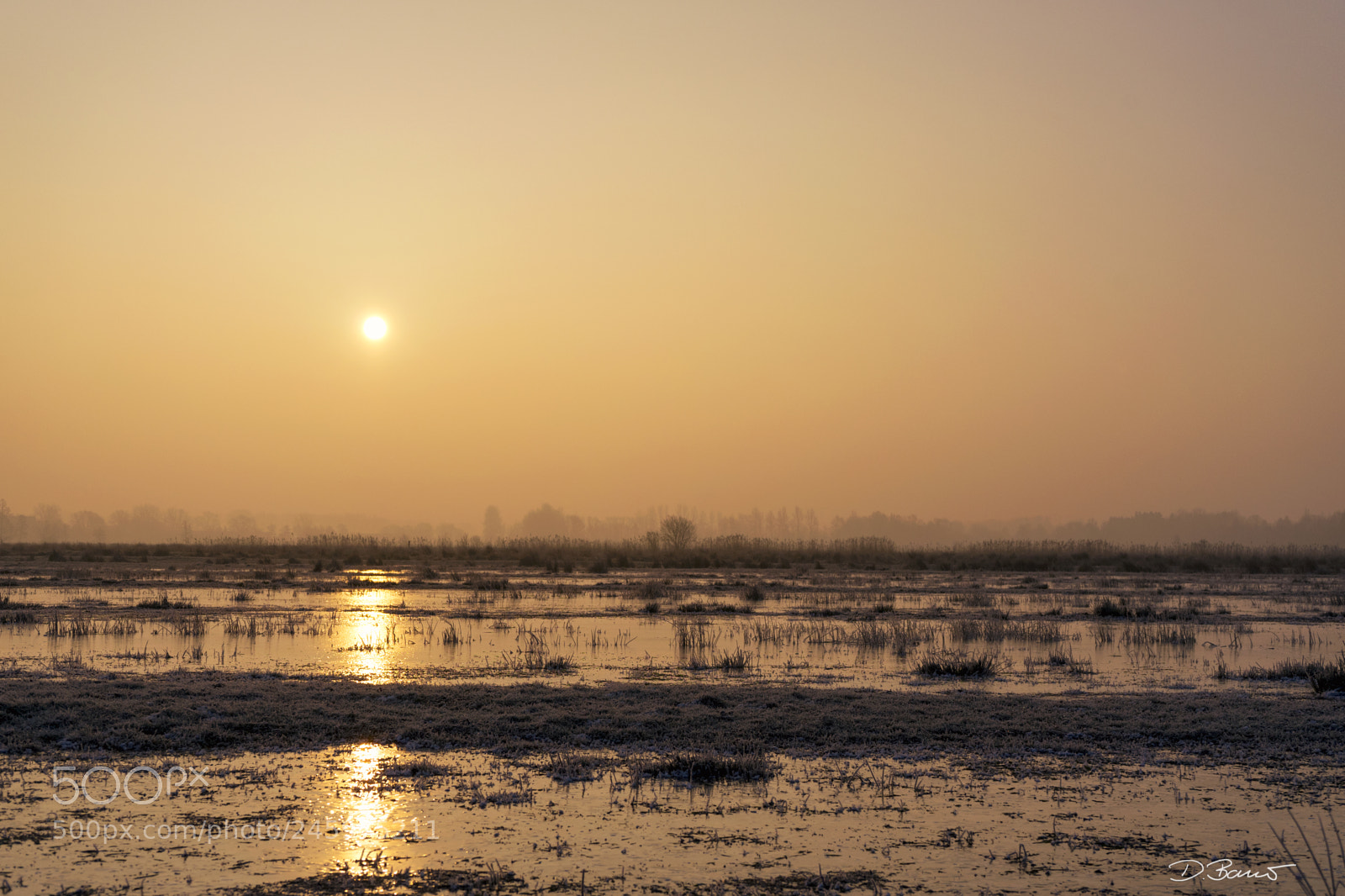 Sony a7 II sample photo. Morning sun photography