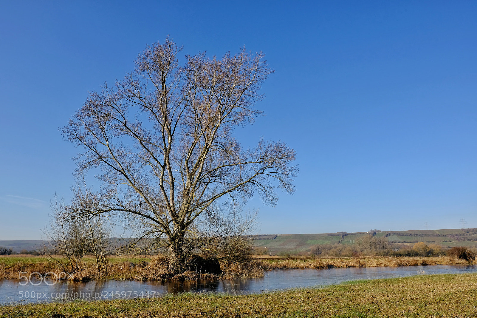 Fujifilm X-T20 sample photo. 'out of reed.' photography