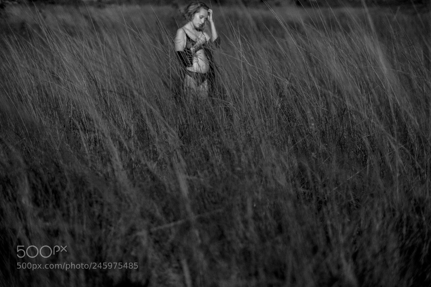 Fujifilm X-Pro2 sample photo. Marlyn photography