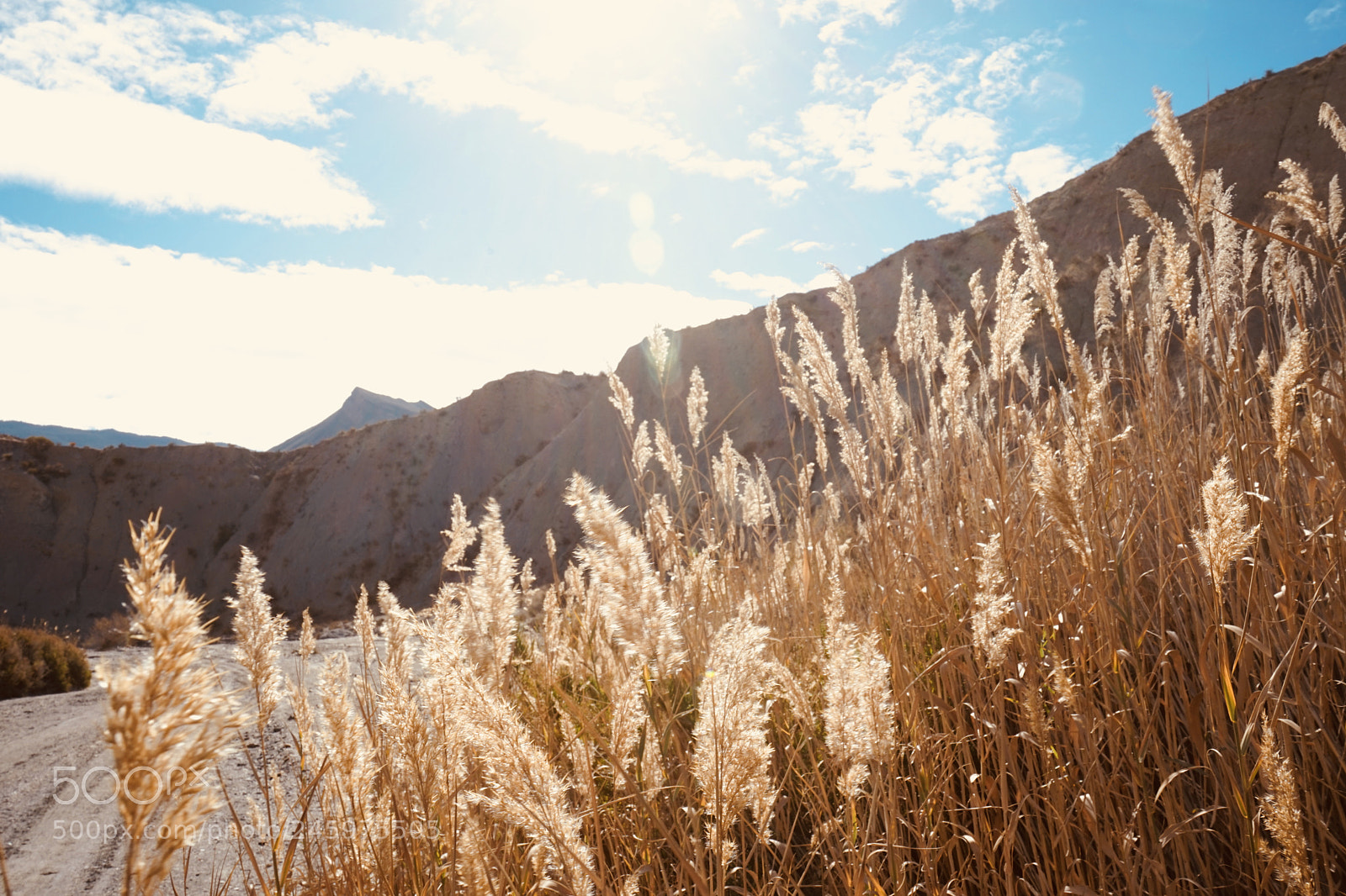 Sony a7 sample photo. Once upon a time photography