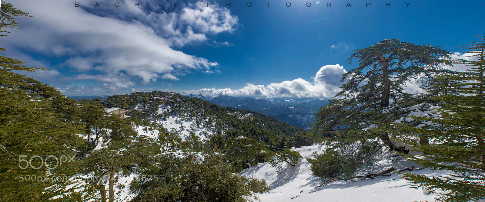 Nikon D600 sample photo. Welcome to chreaa ( algeria ) photography