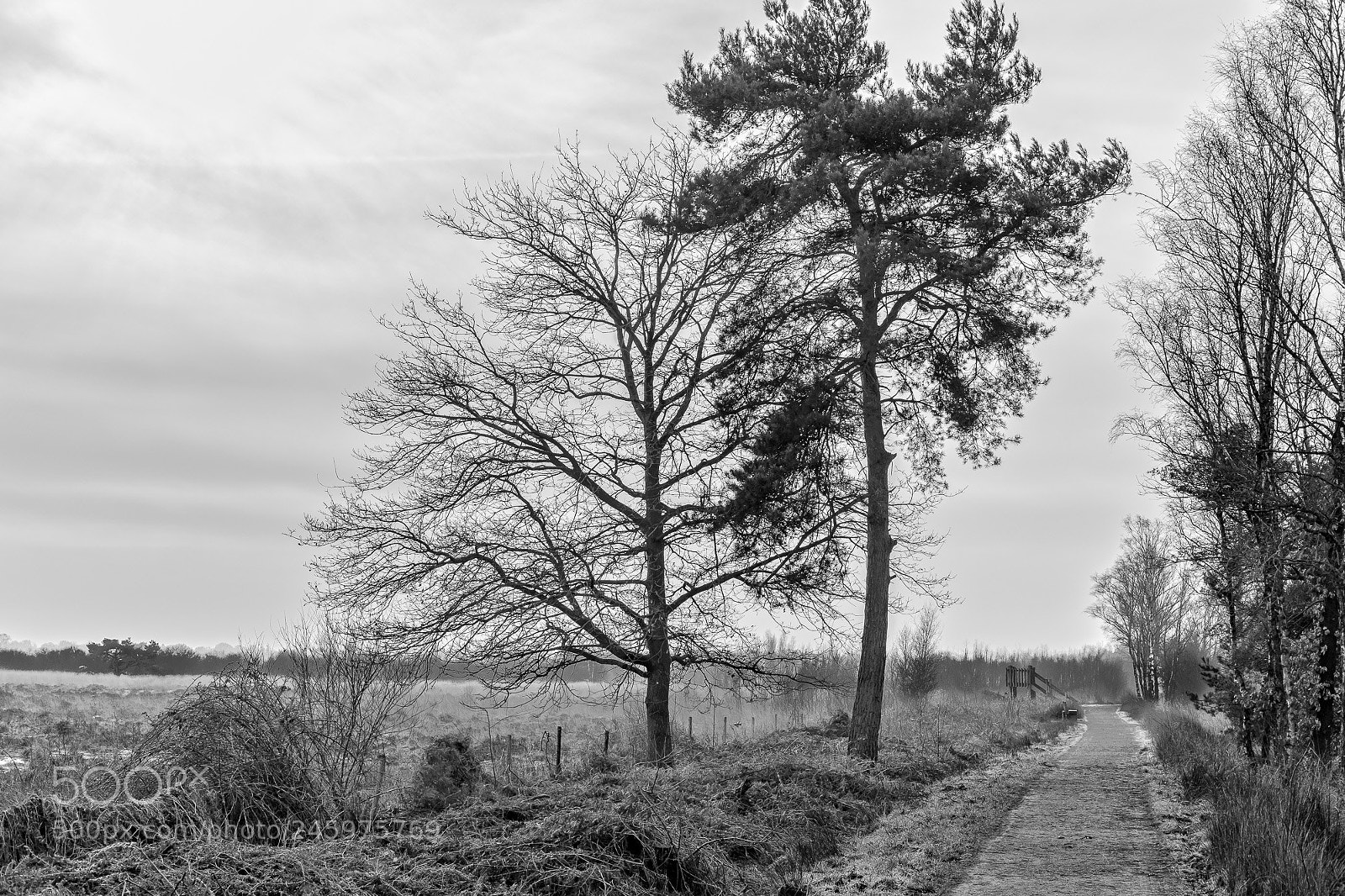 Fujifilm X-T2 sample photo. Road in the peel photography
