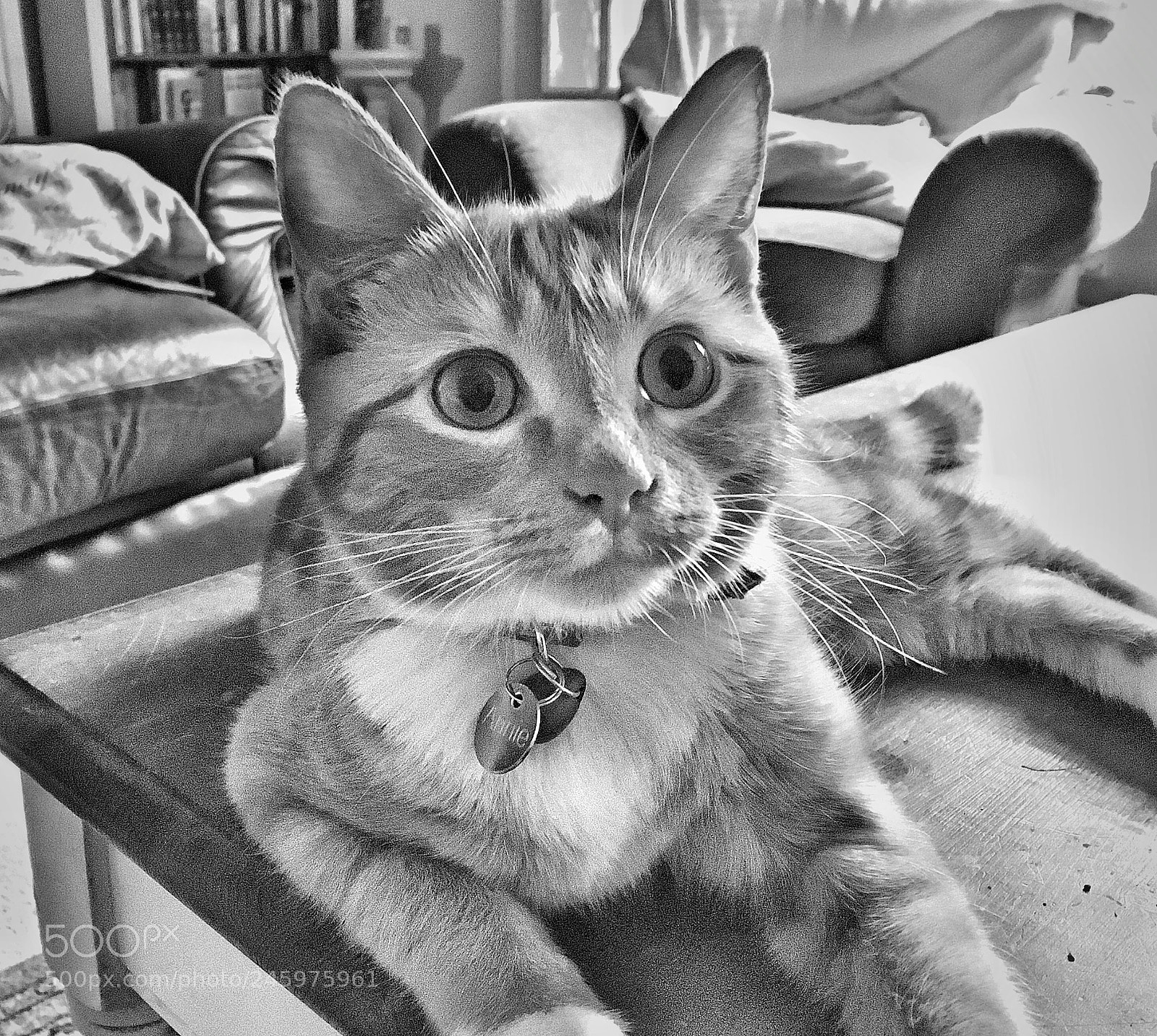 Apple iPad Pro sample photo. Annie photography