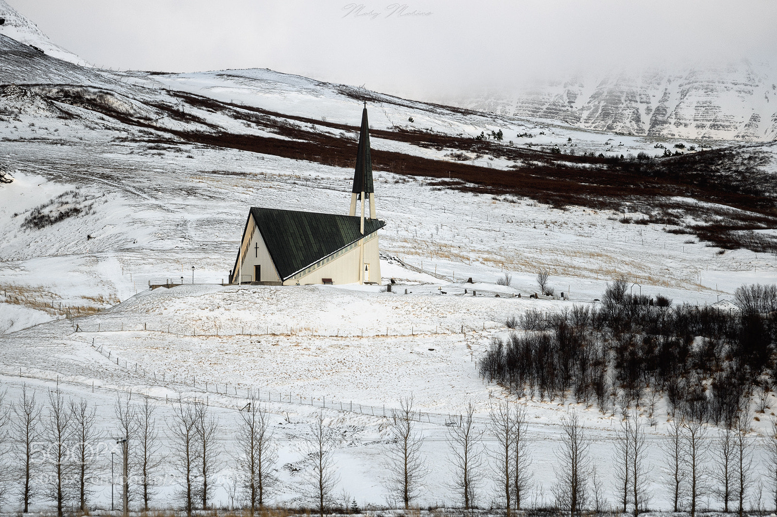 Sony a7 sample photo. In the snow photography
