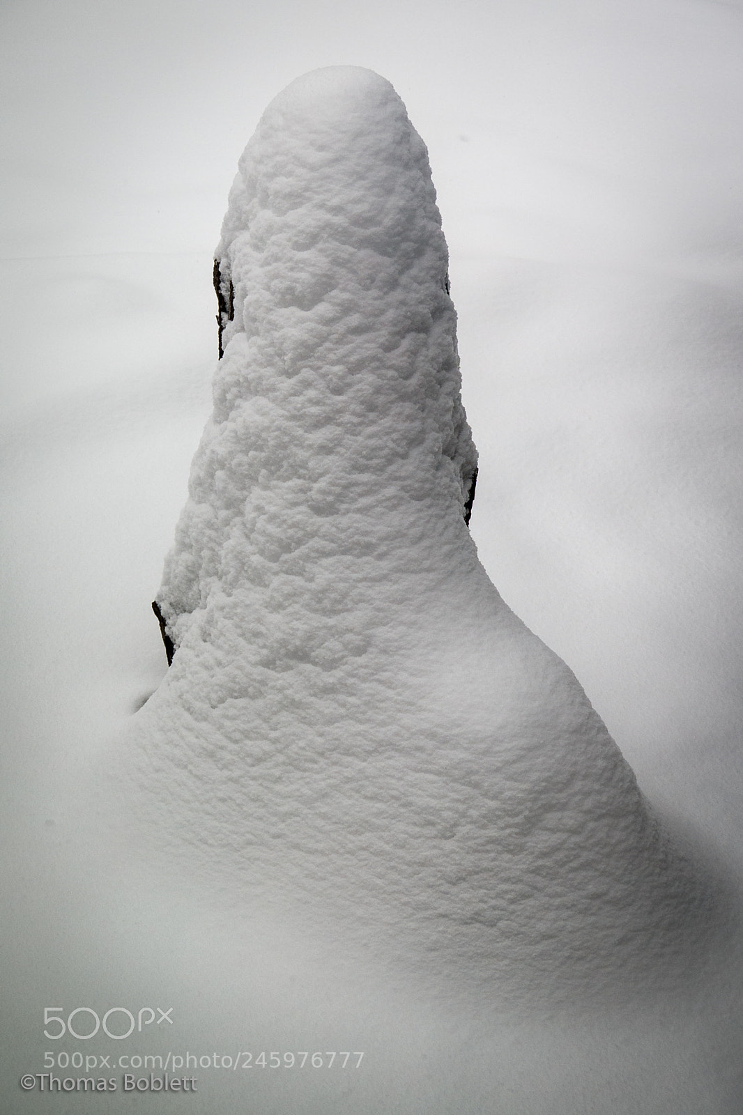 Canon PowerShot G16 sample photo. Snow stump photography