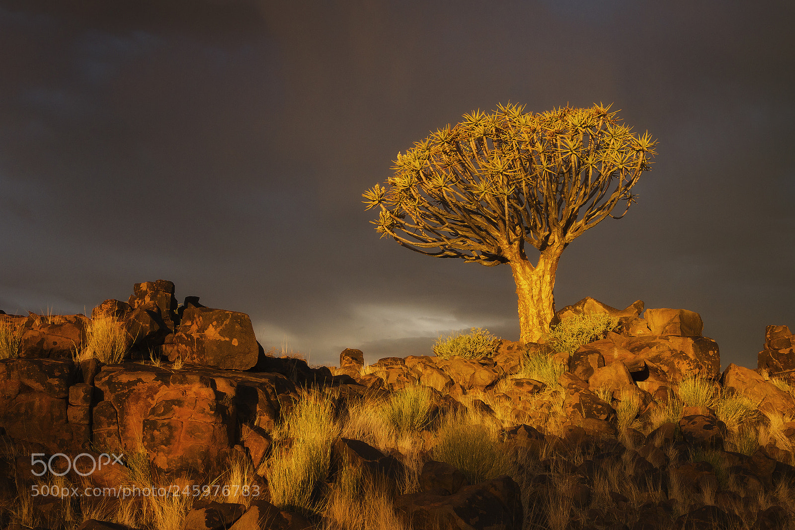 Canon EOS 7D sample photo. Rainy season in namibia photography