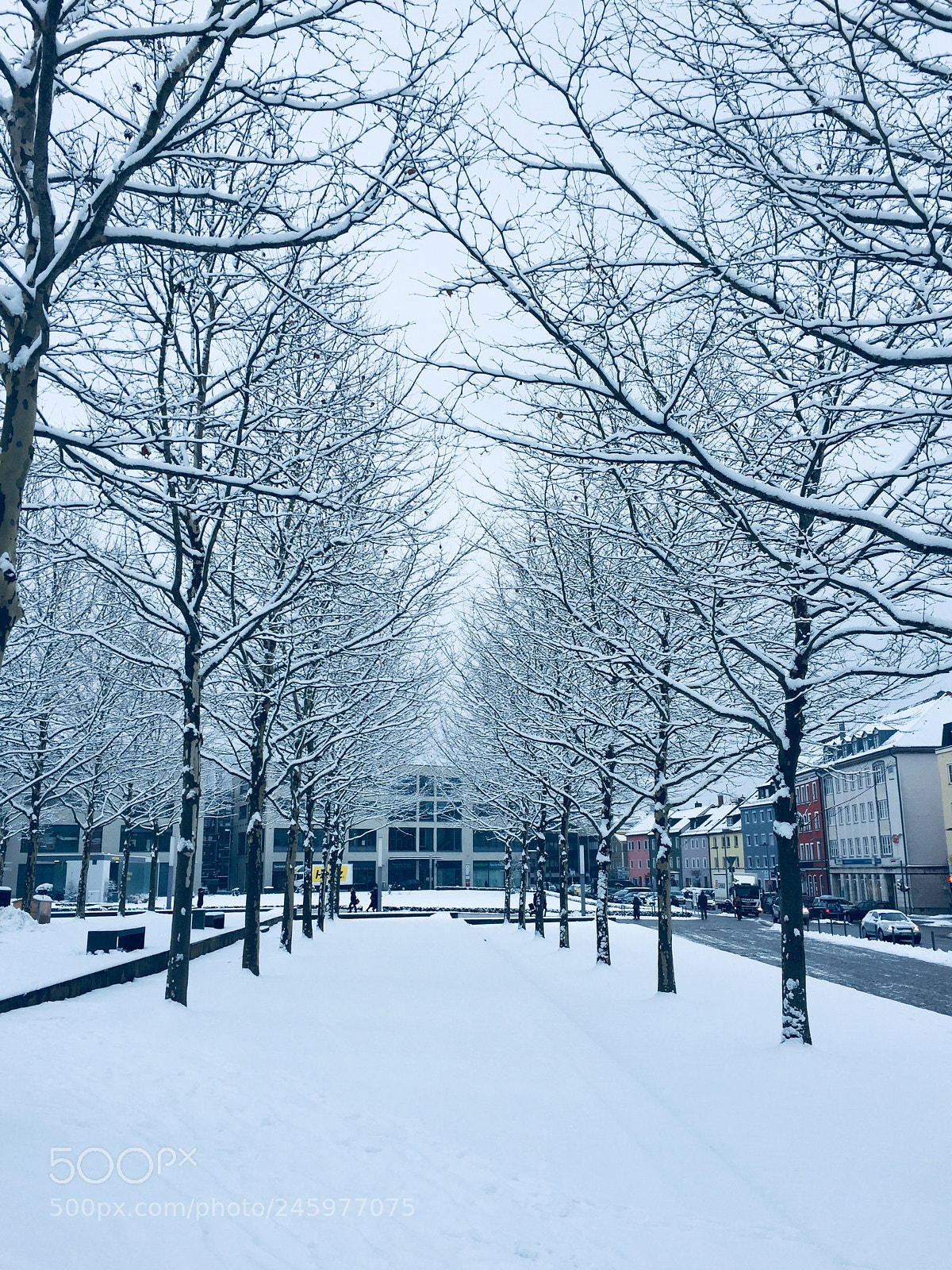 Apple iPhone 6 sample photo. A snowy park photography