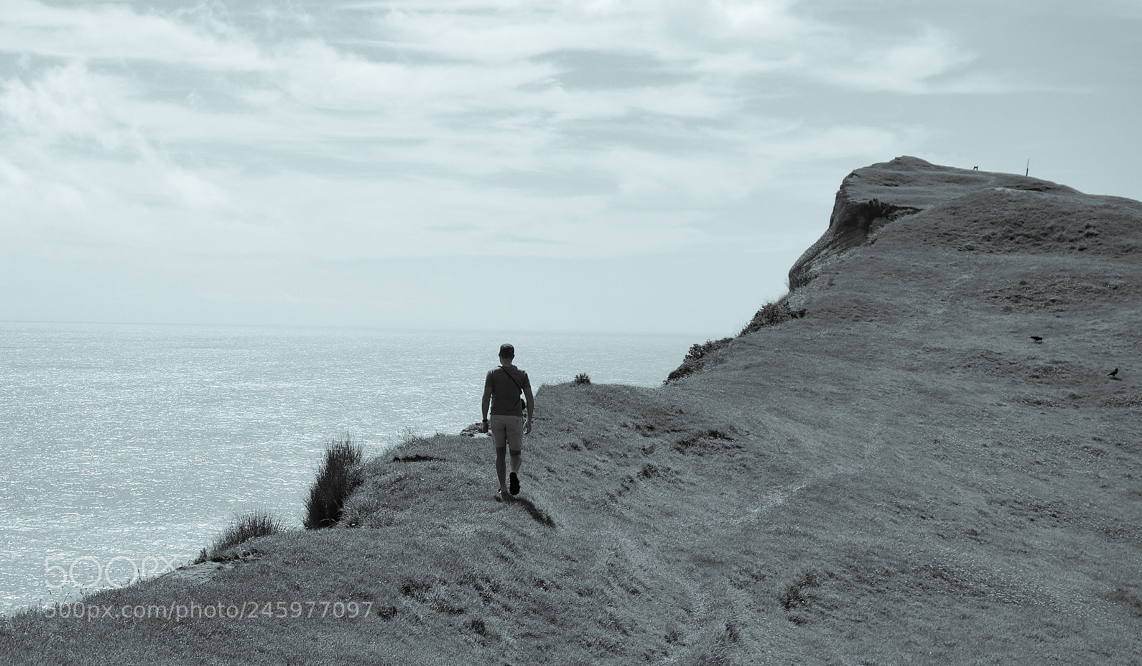 Sony Cyber-shot DSC-RX100 sample photo. Cape farewell, new zealand. photography