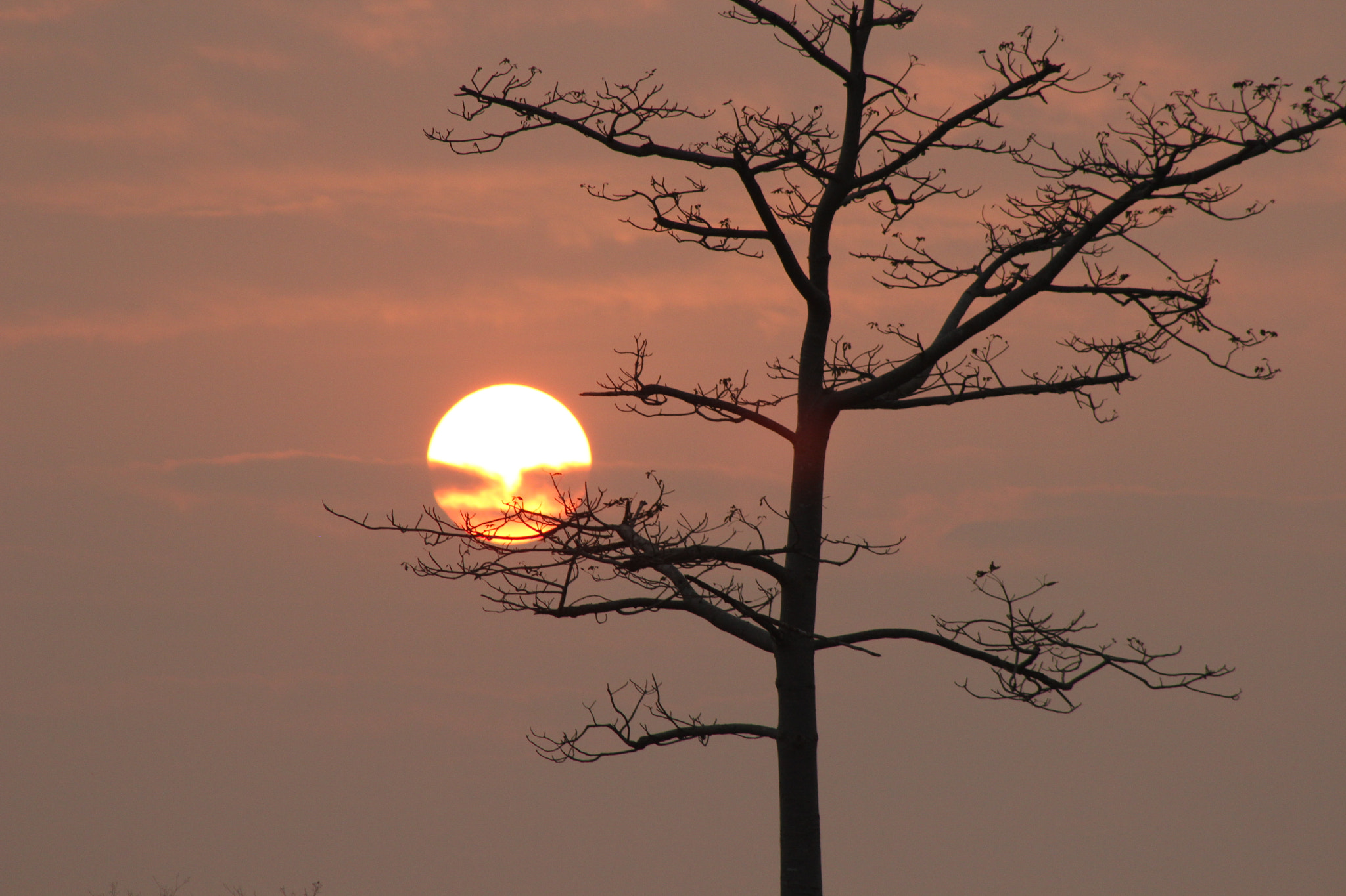 Canon EOS 600D (Rebel EOS T3i / EOS Kiss X5) + EF75-300mm f/4-5.6 sample photo. 乡村日落 photography