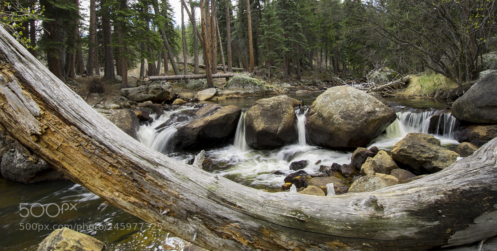 Nikon D7100 sample photo. Cwp testing photography