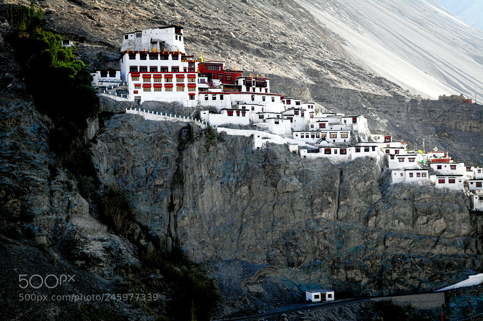 Nikon D5200 sample photo. Diskit gompa photography