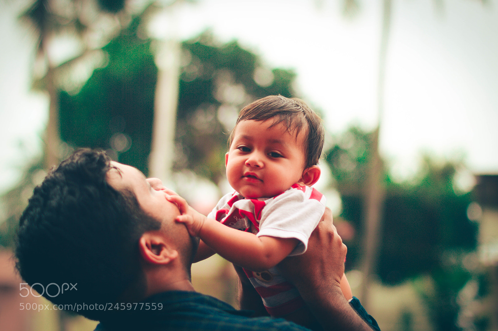 Nikon D3200 sample photo. Cotton cheeks photography
