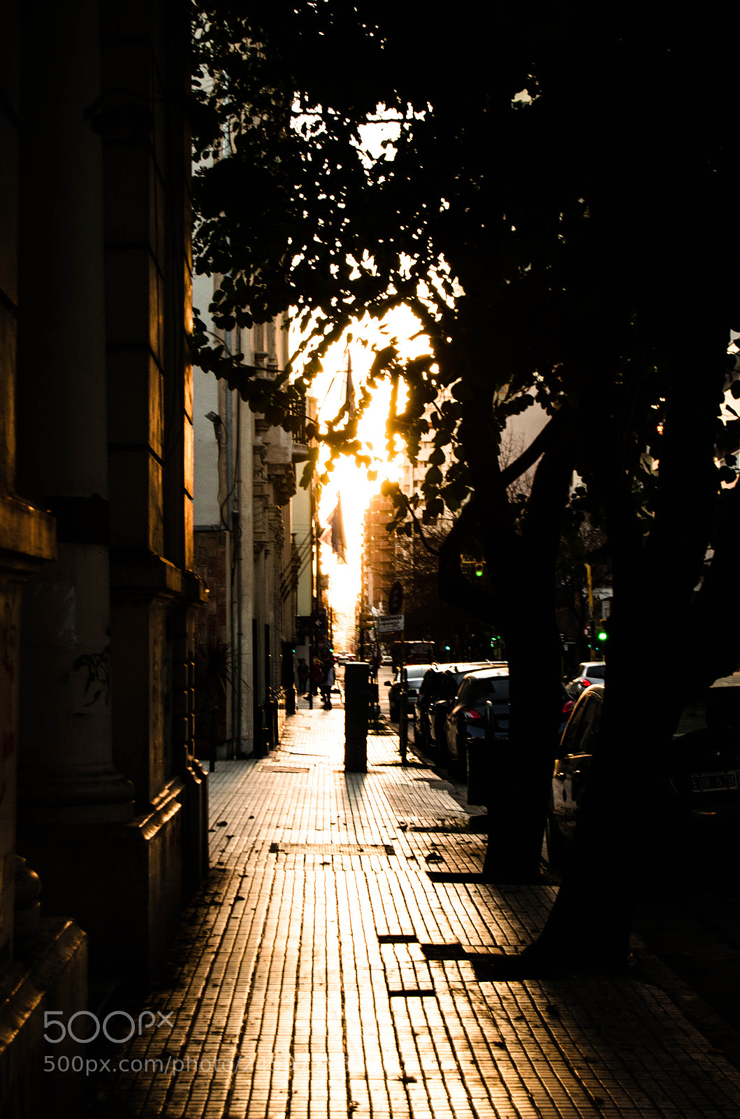 Nikon D5100 sample photo. Sunny alley photography