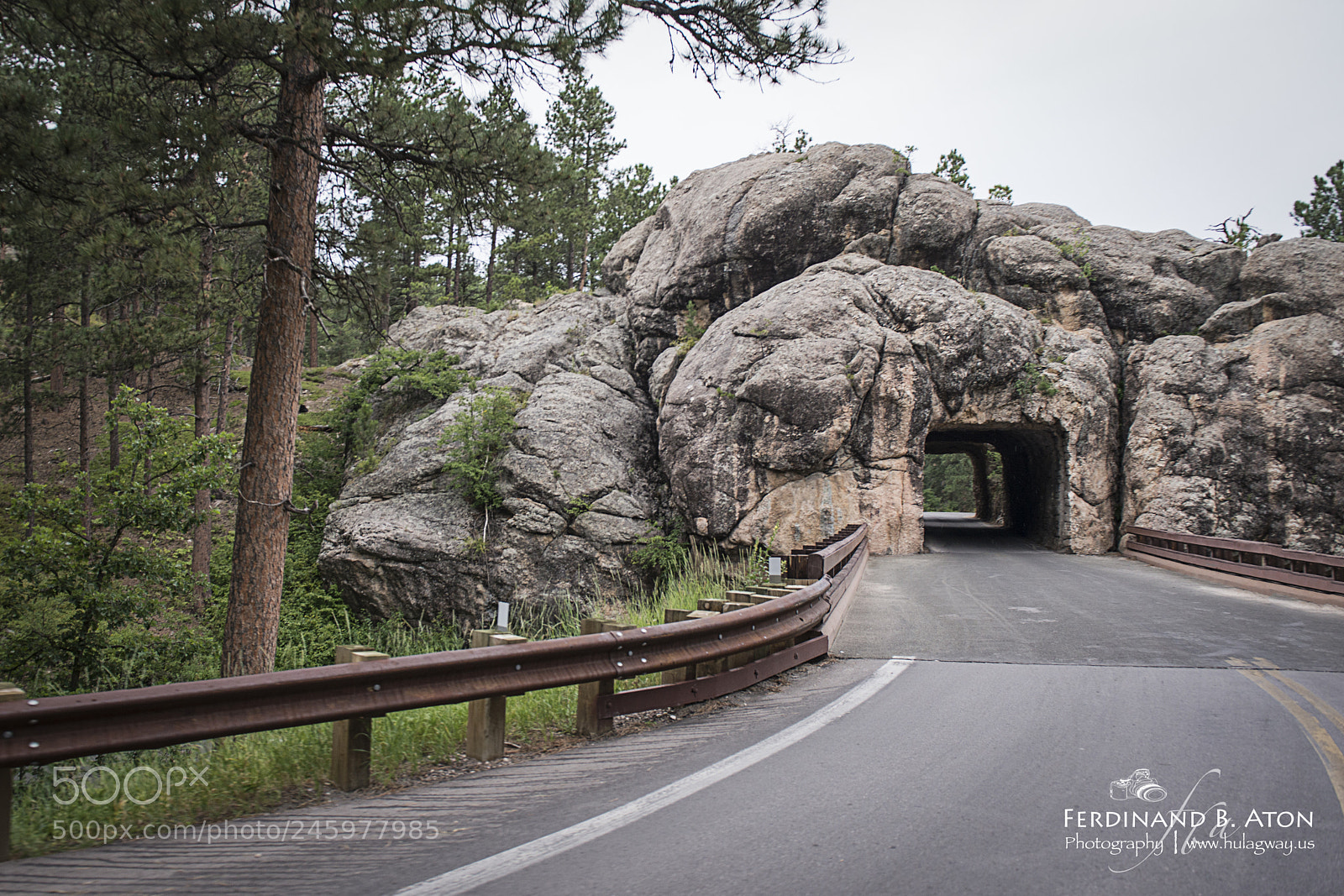 Nikon D800 sample photo. Tunnel at needles highway photography