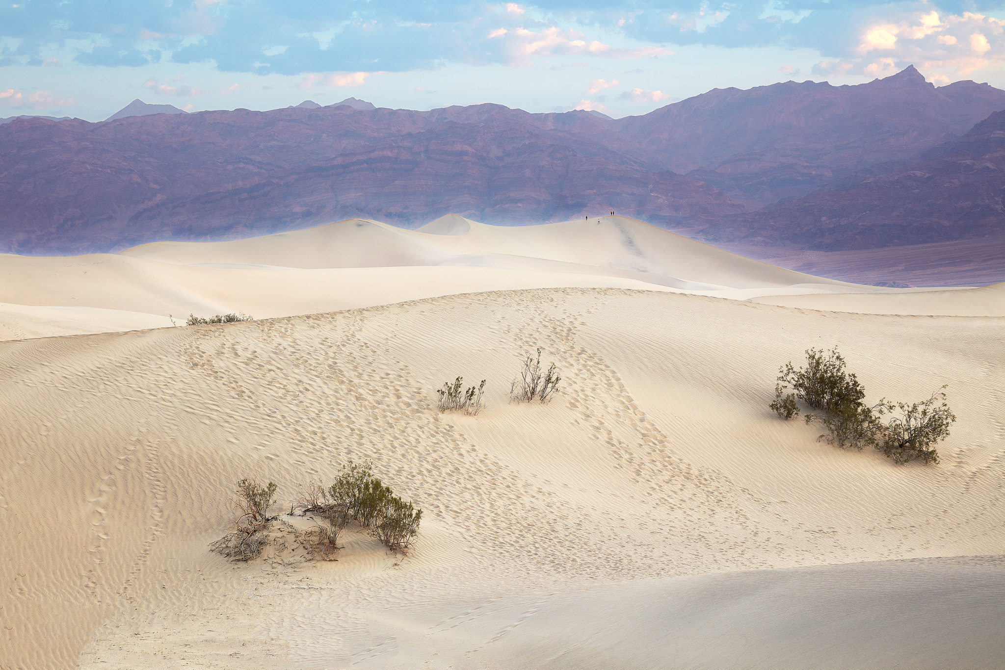 Canon EOS 5DS R + Canon EF 24-105mm F4L IS USM sample photo. Mesquite flat sand dunes photography