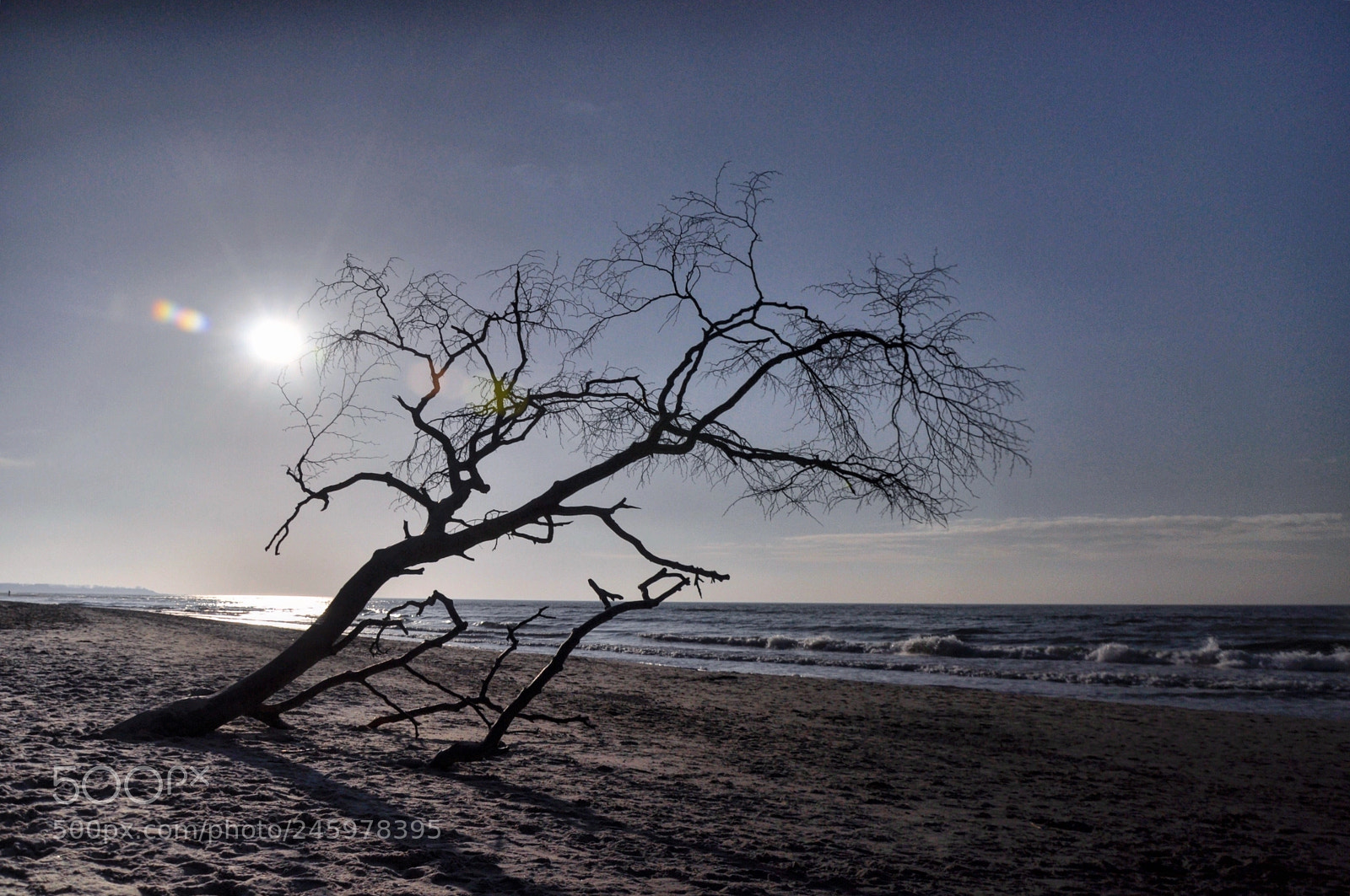 Nikon D5000 sample photo. Weststrand | balticsea | darß photography