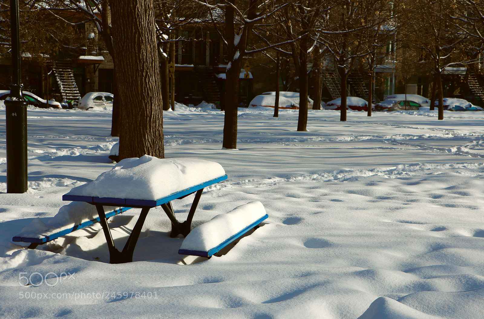 Canon EOS 70D sample photo. Park bench in winter photography