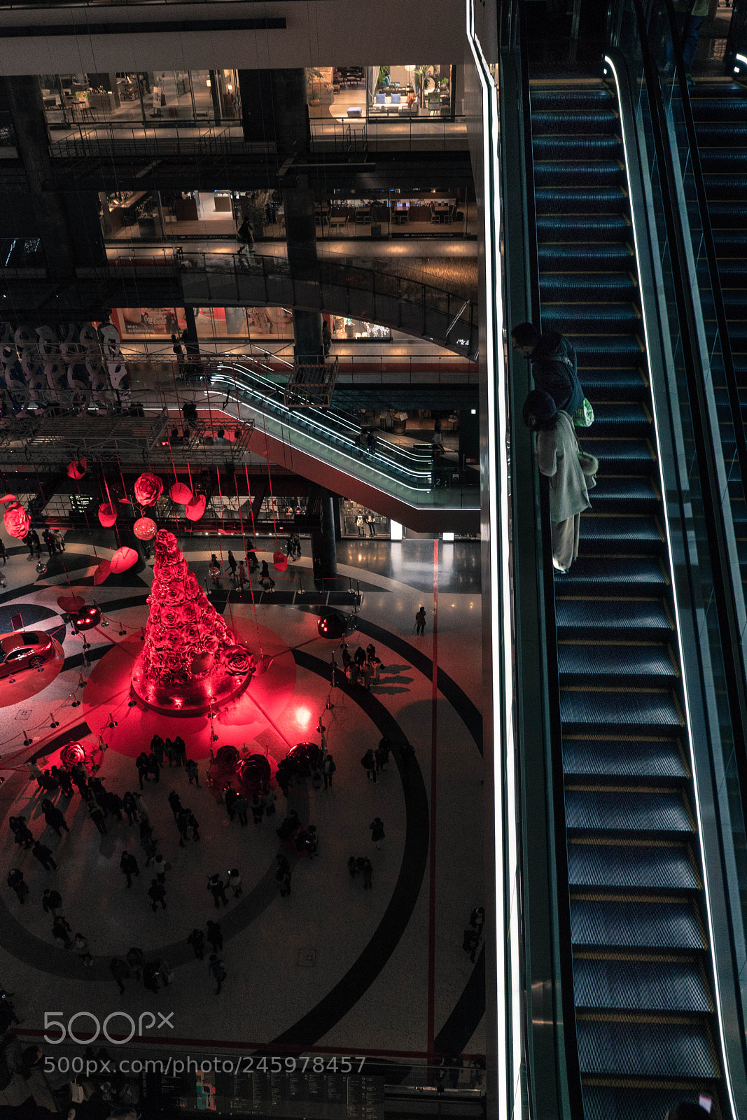 Sony a7 II sample photo. Overlooking the christmas tree photography