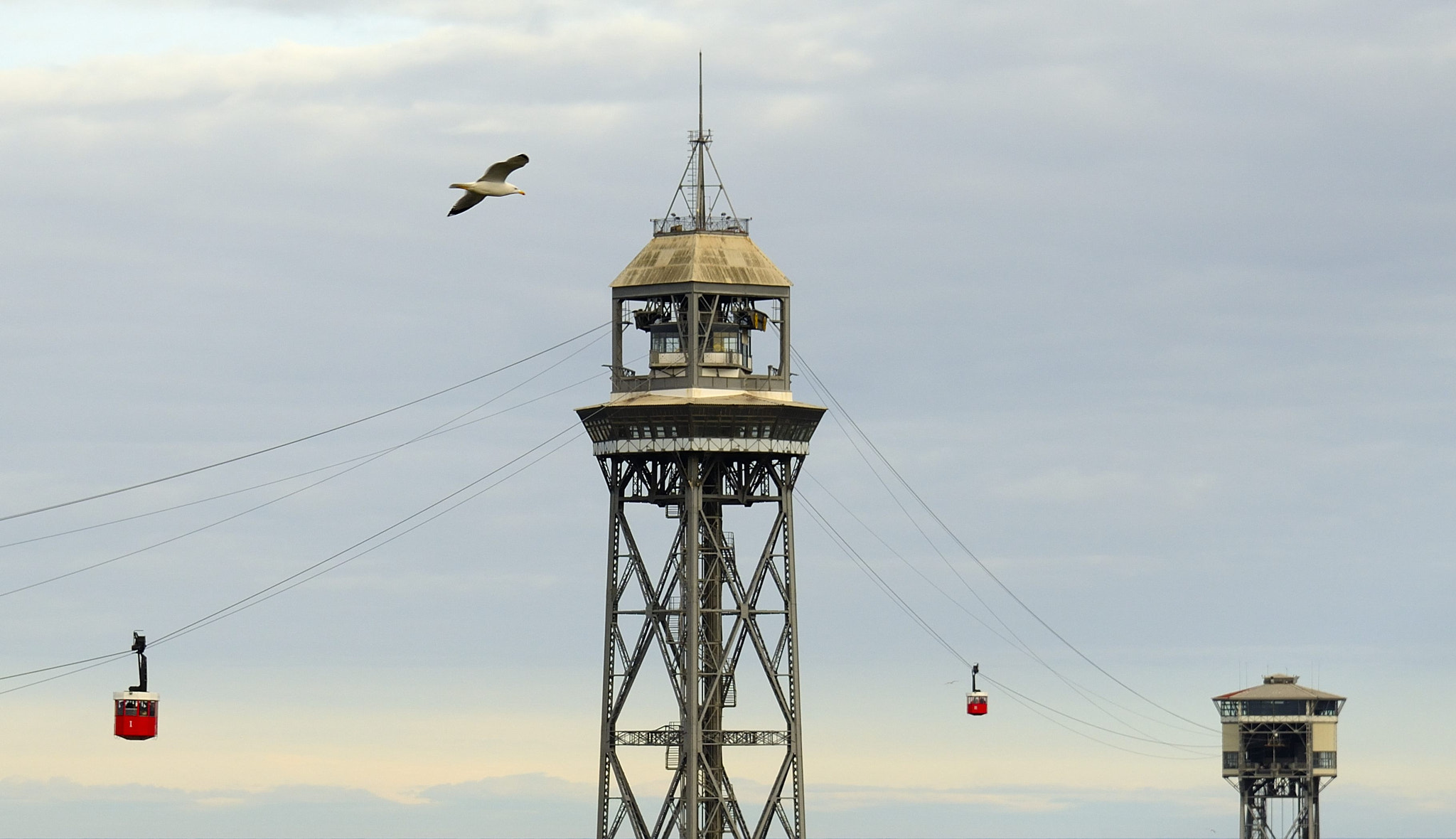 Nikon AF-S Nikkor 24-120mm F4G ED VR sample photo. Birds flying high photography